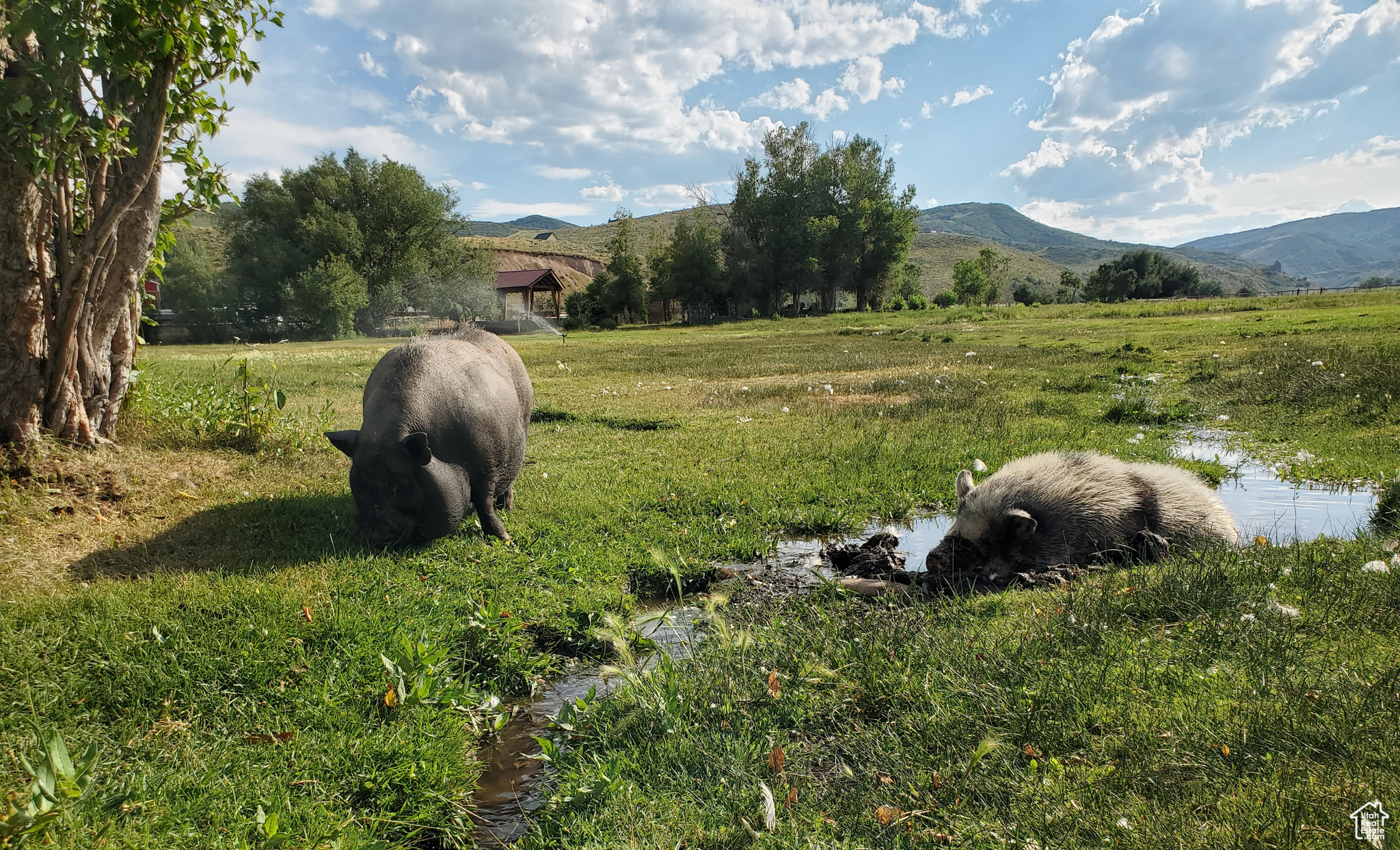 NORTH SUMMIT - Residential