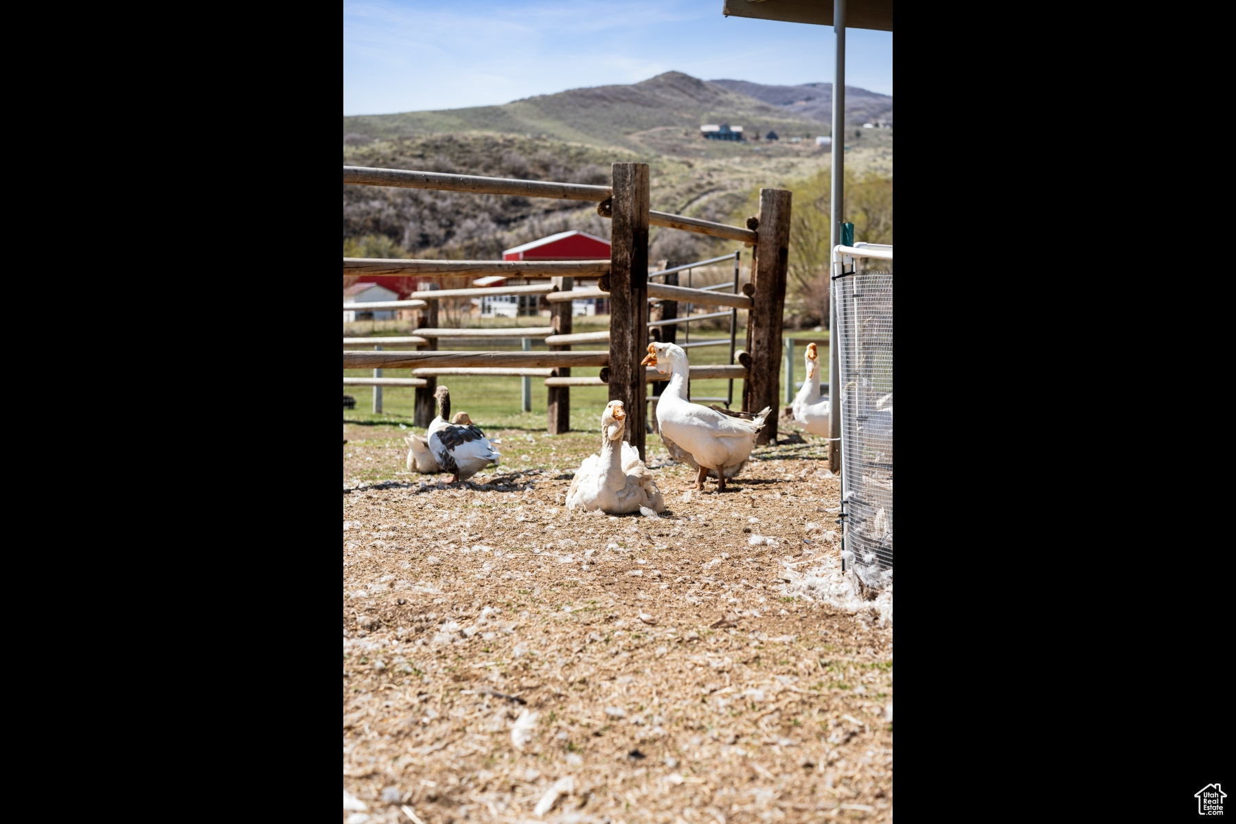 NORTH SUMMIT - Residential