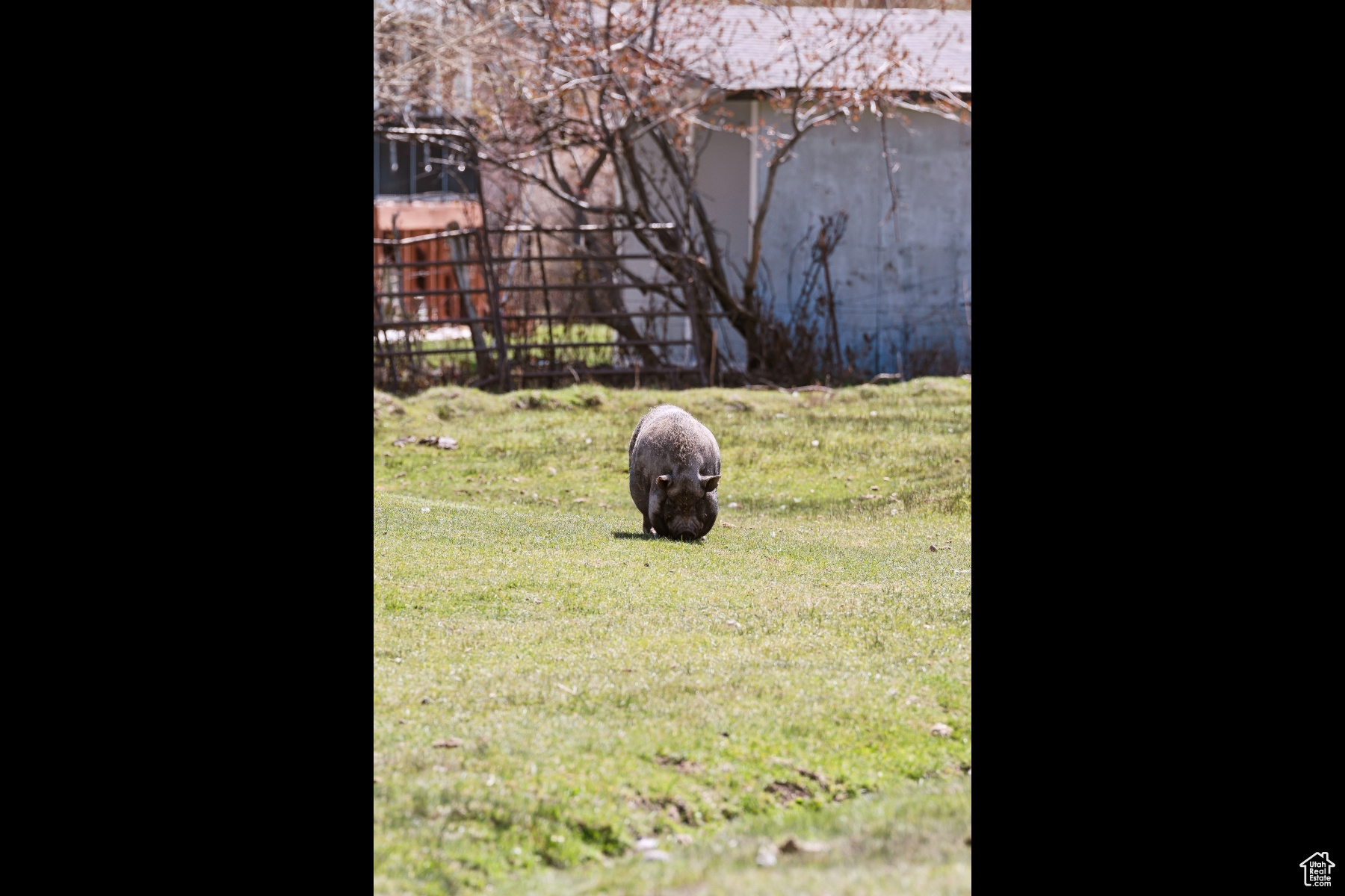 NORTH SUMMIT - Residential