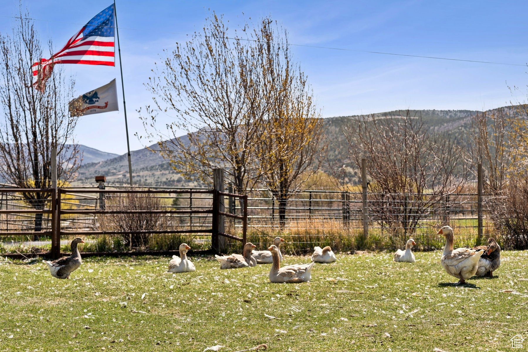 NORTH SUMMIT - Residential