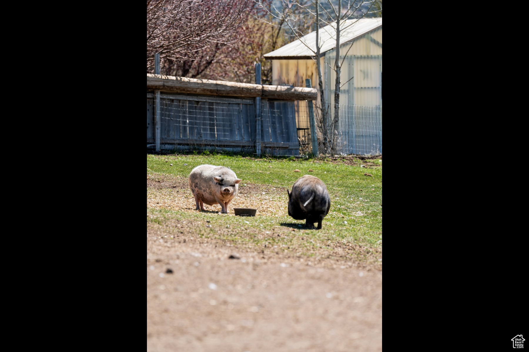 NORTH SUMMIT - Residential