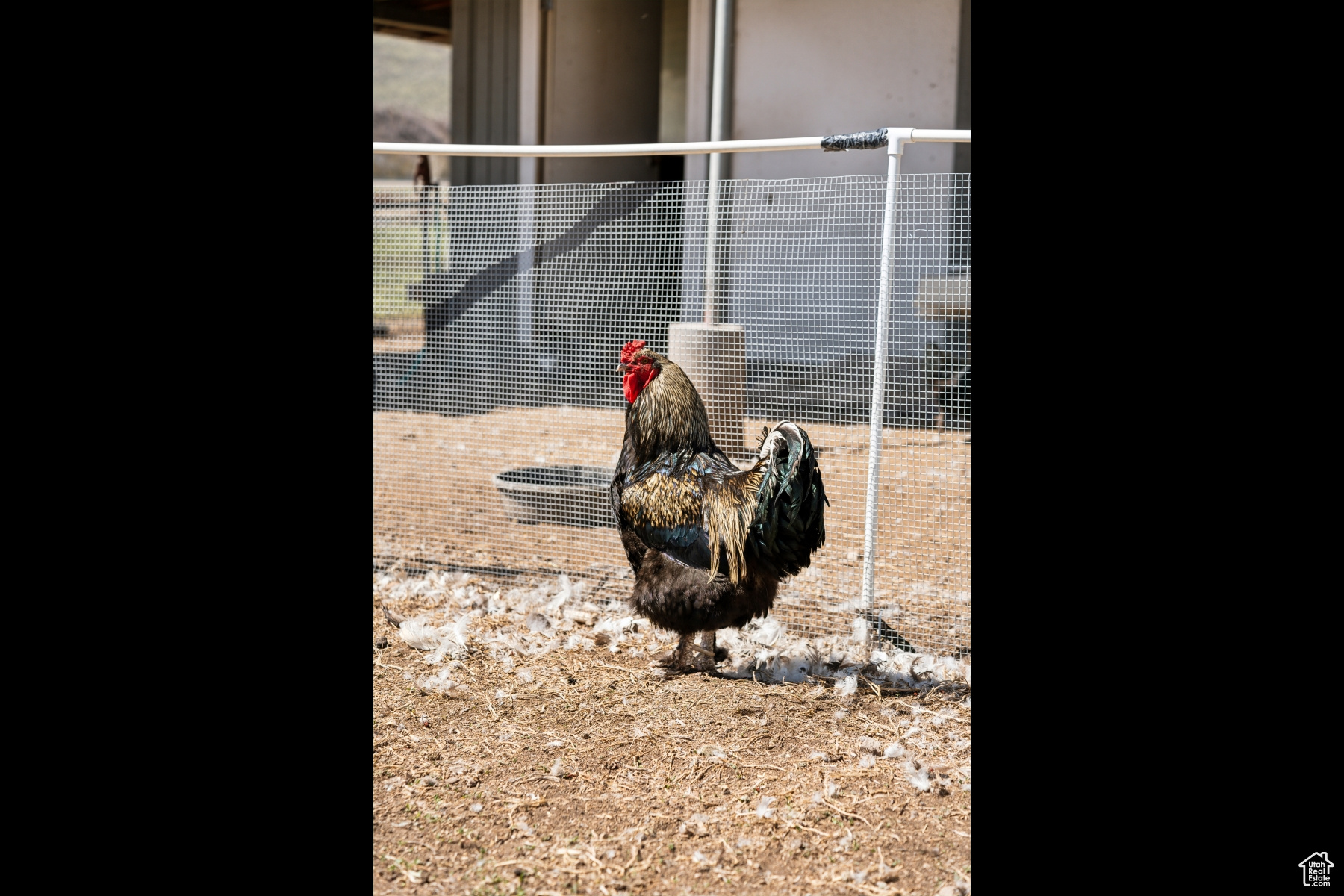 NORTH SUMMIT - Residential