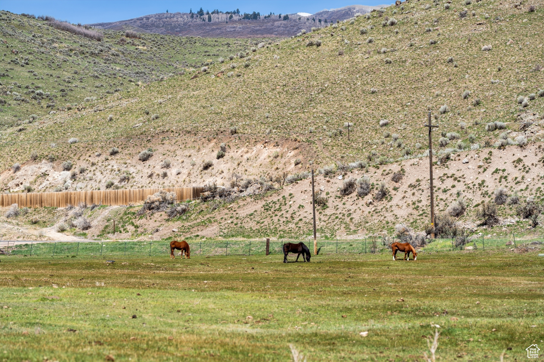 NORTH SUMMIT - Residential