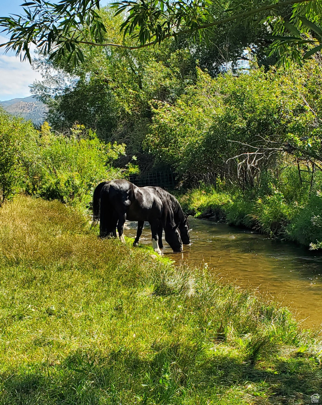 NORTH SUMMIT - Residential