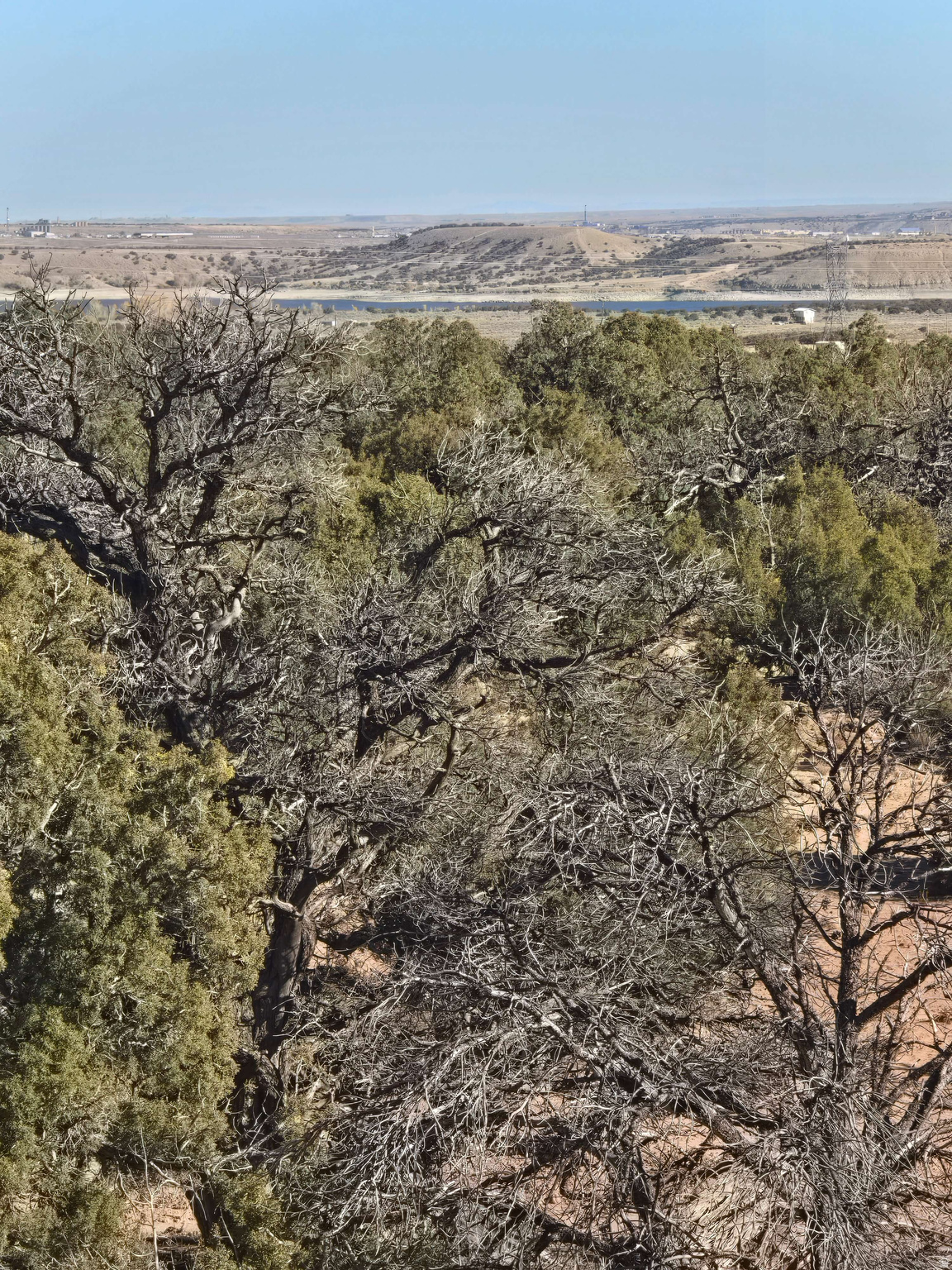 BUCKHORN MESA - Land