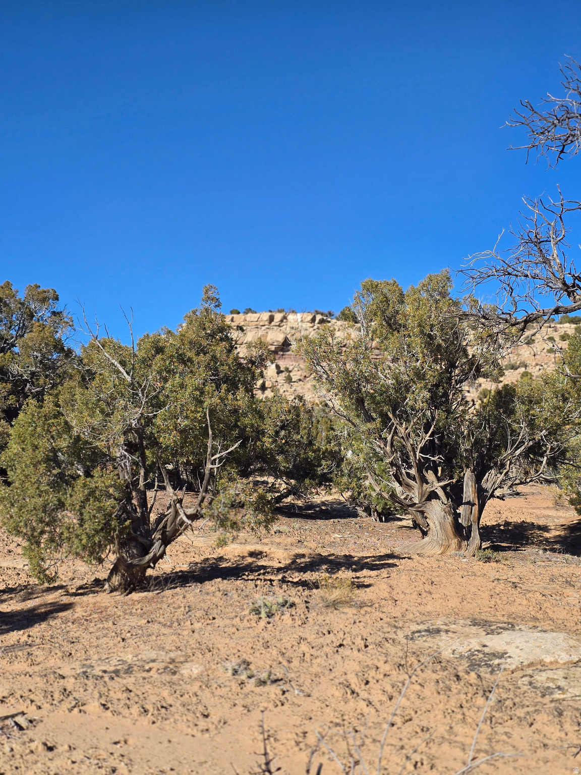 BUCKHORN MESA - Land