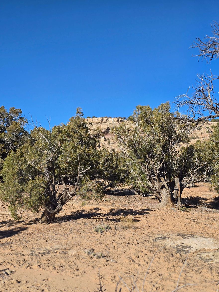 Enjoy lake views and outdoor adventure from this 5-acre parcel on the northwest side of Starvation Reservoir. Just 15-20 minutes from Duchesne City, this property offers power nearby and water rights available for a private well (at buyer's expense). Close to boating, fishing, kayaking, and ATV trails, with stores, restaurants, and gas in town. Ideal for recreation, building a cabin or home, or investment. Buyer to verify access, utilities, and water rights availability.