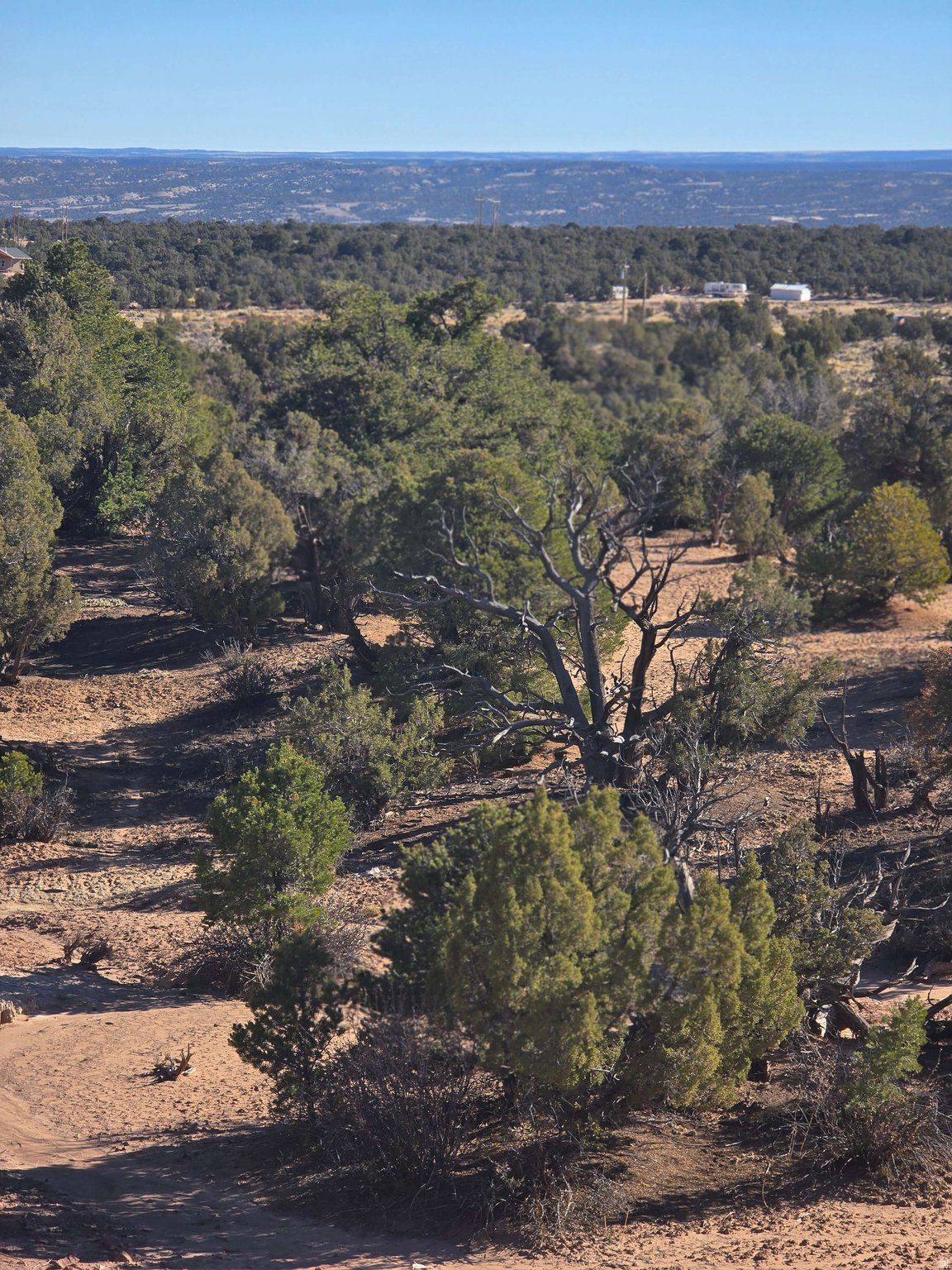 BUCKHORN MESA - Land