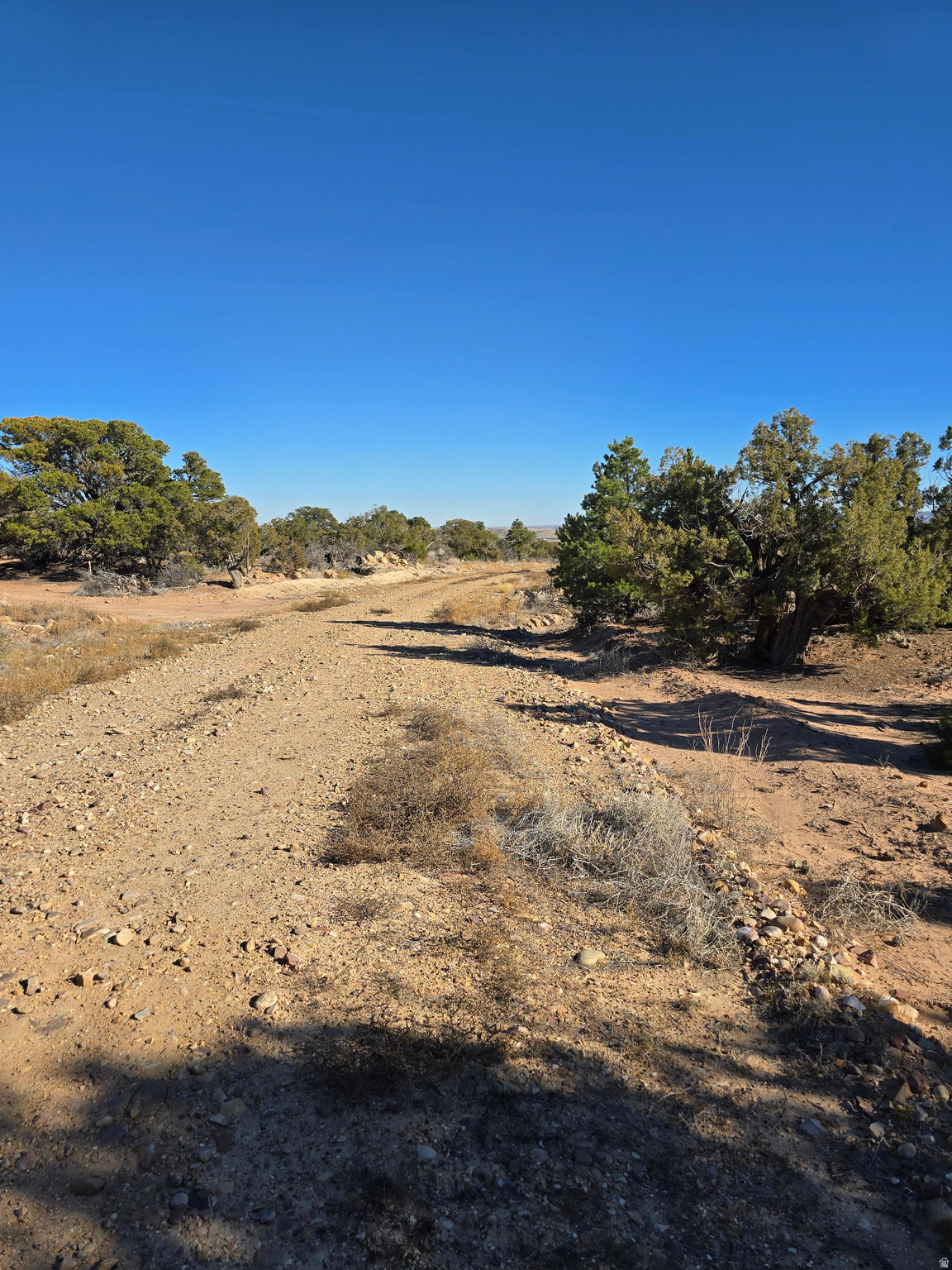 BUCKHORN MESA - Land