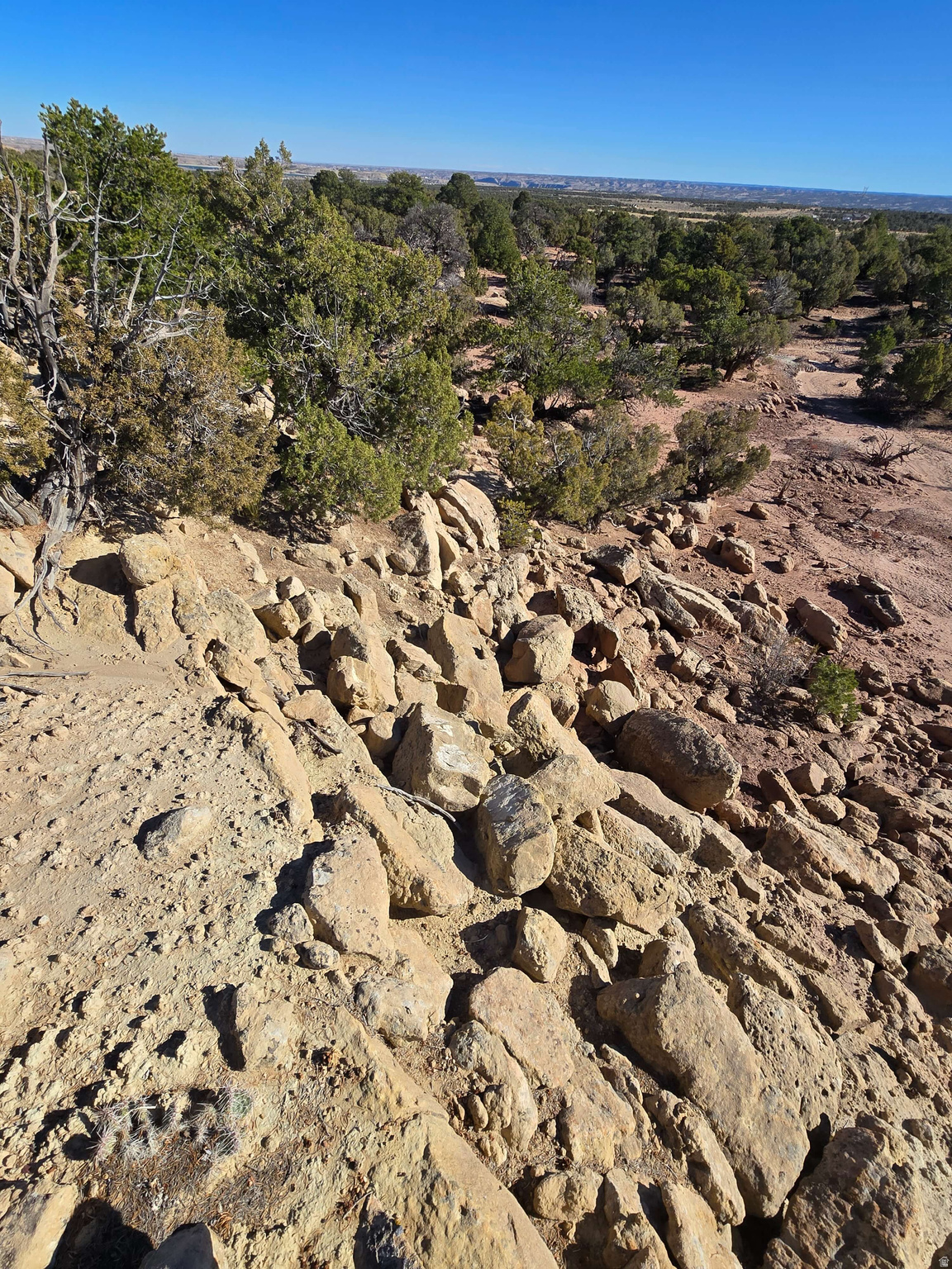 BUCKHORN MESA - Land