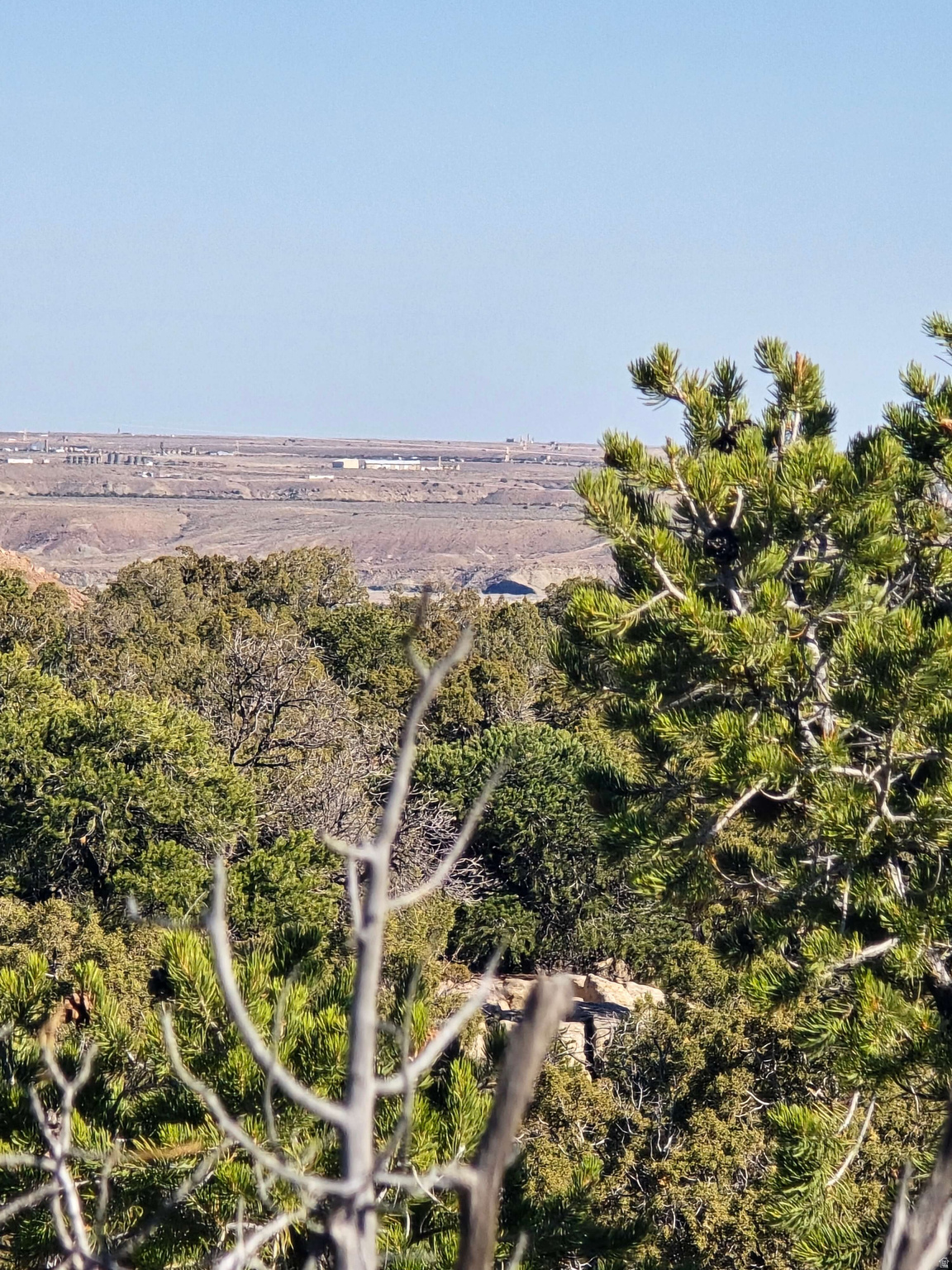 BUCKHORN MESA - Land