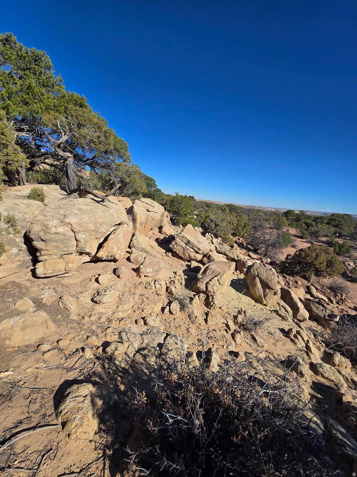 BUCKHORN MESA - Land