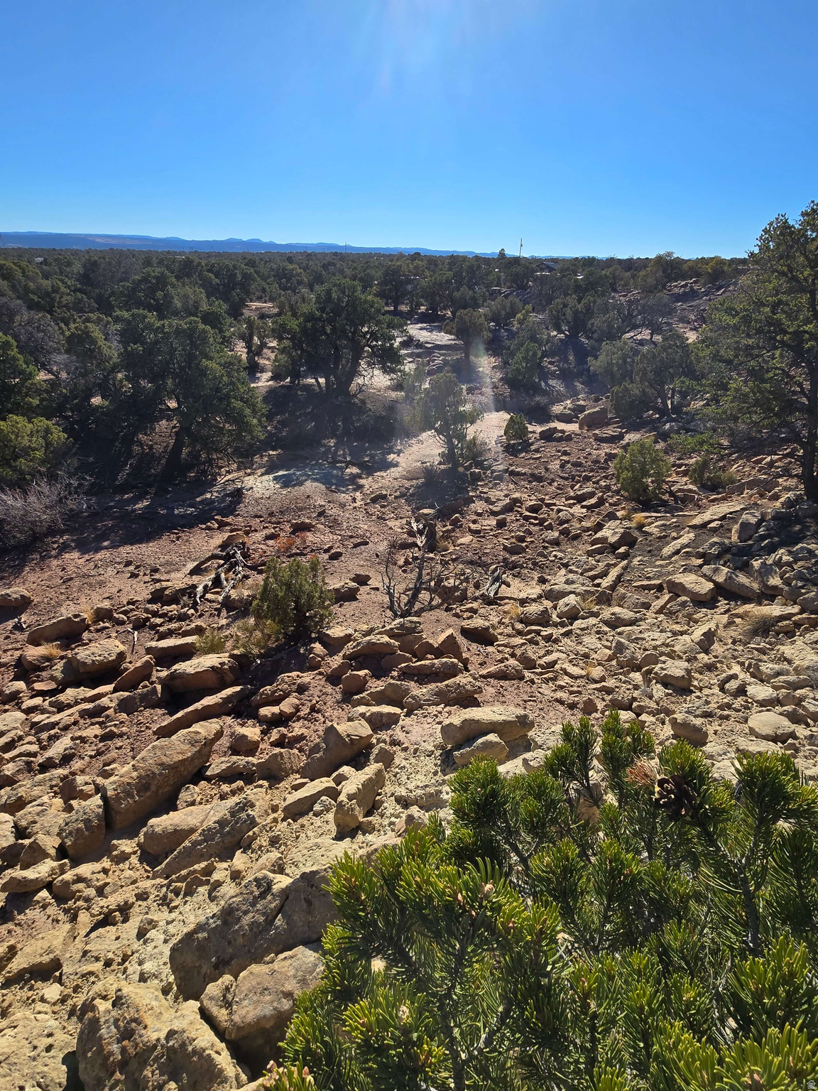 BUCKHORN MESA - Land