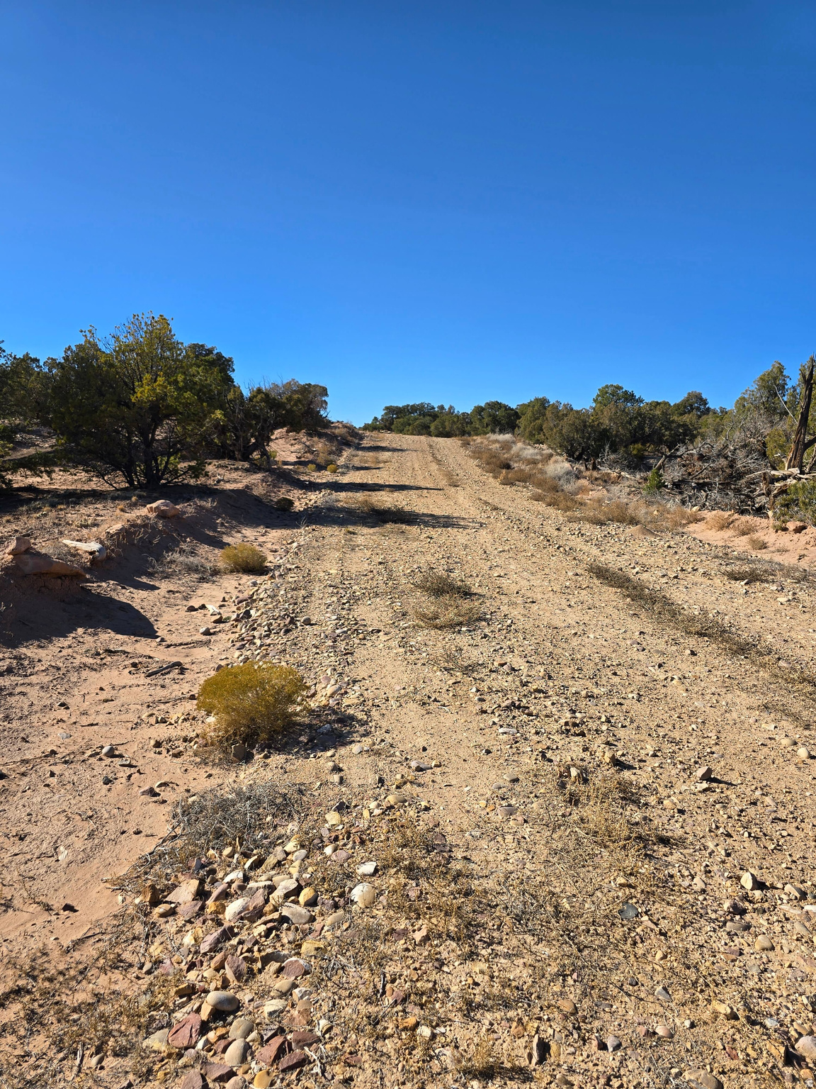 BUCKHORN MESA - Land