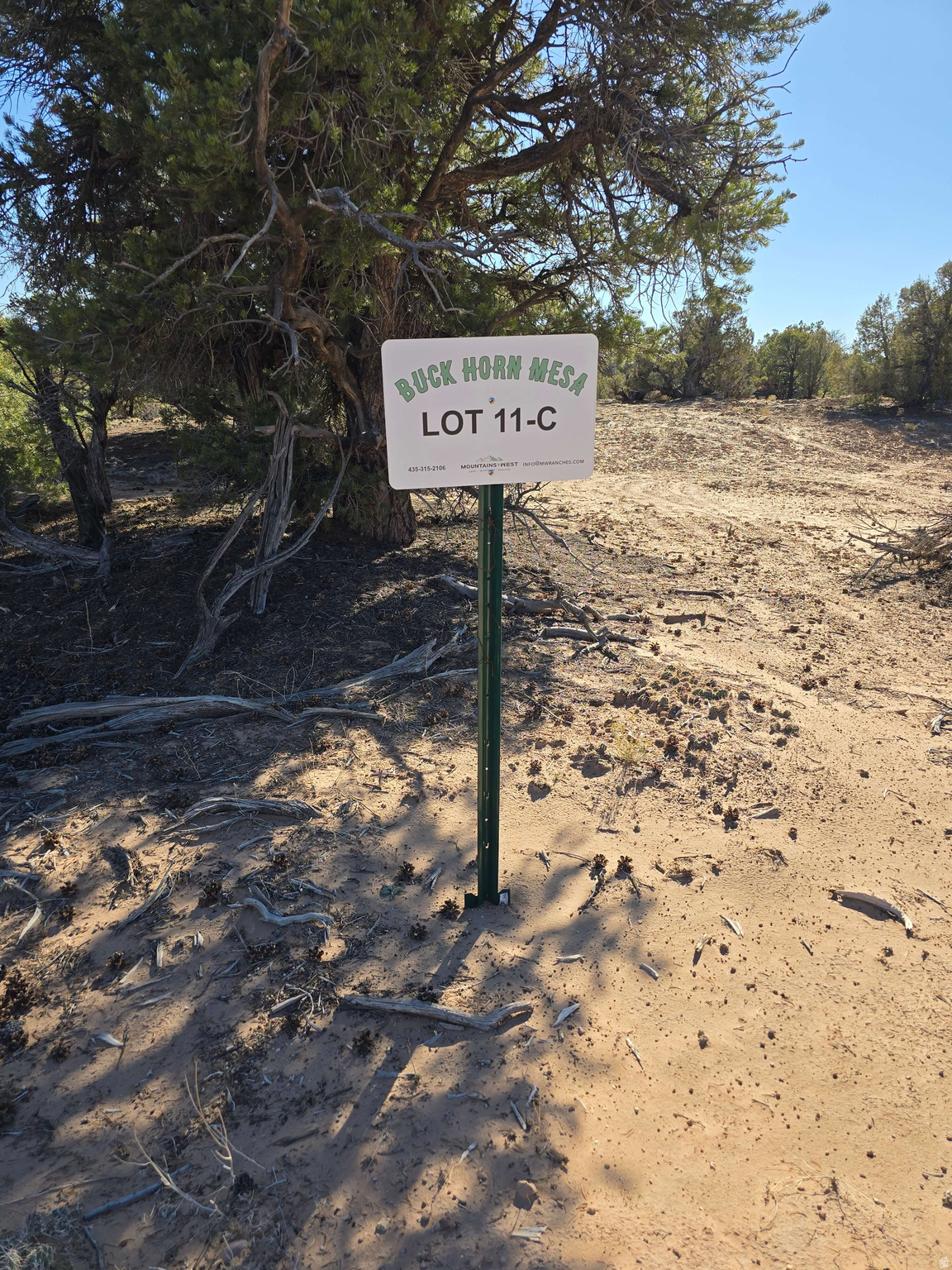 BUCKHORN MESA - Land