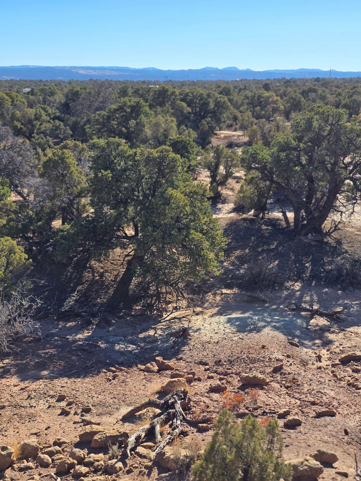 BUCKHORN MESA - Land