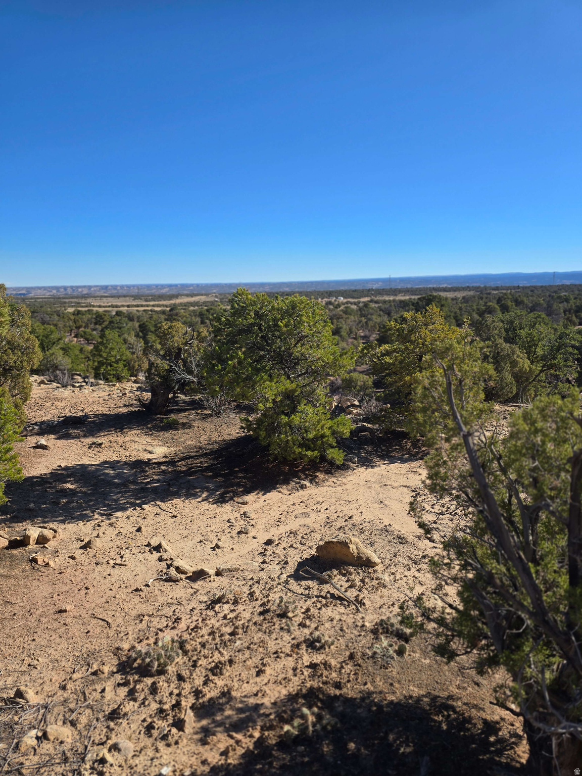 BUCKHORN MESA - Land