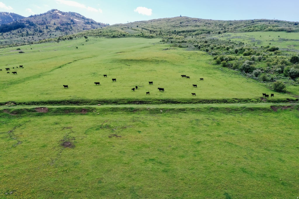 Photo of 6746 N CAPITOL RD, Preston, ID 83263 (MLS # 2181367)