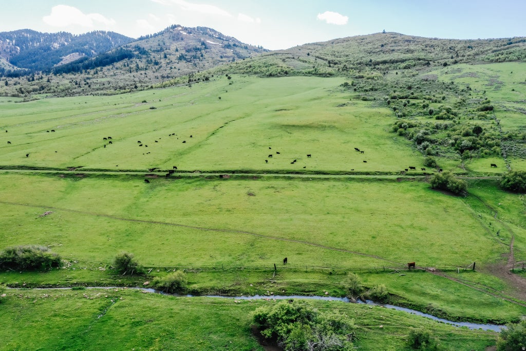 Photo of 6746 N CAPITOL RD, Preston, ID 83263 (MLS # 2181367)