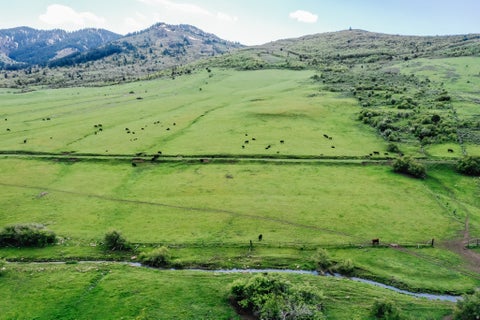 Vacant Land For Sale - 6746 N Capitol Rd<br/> Franklin County, Preston, ID 83263