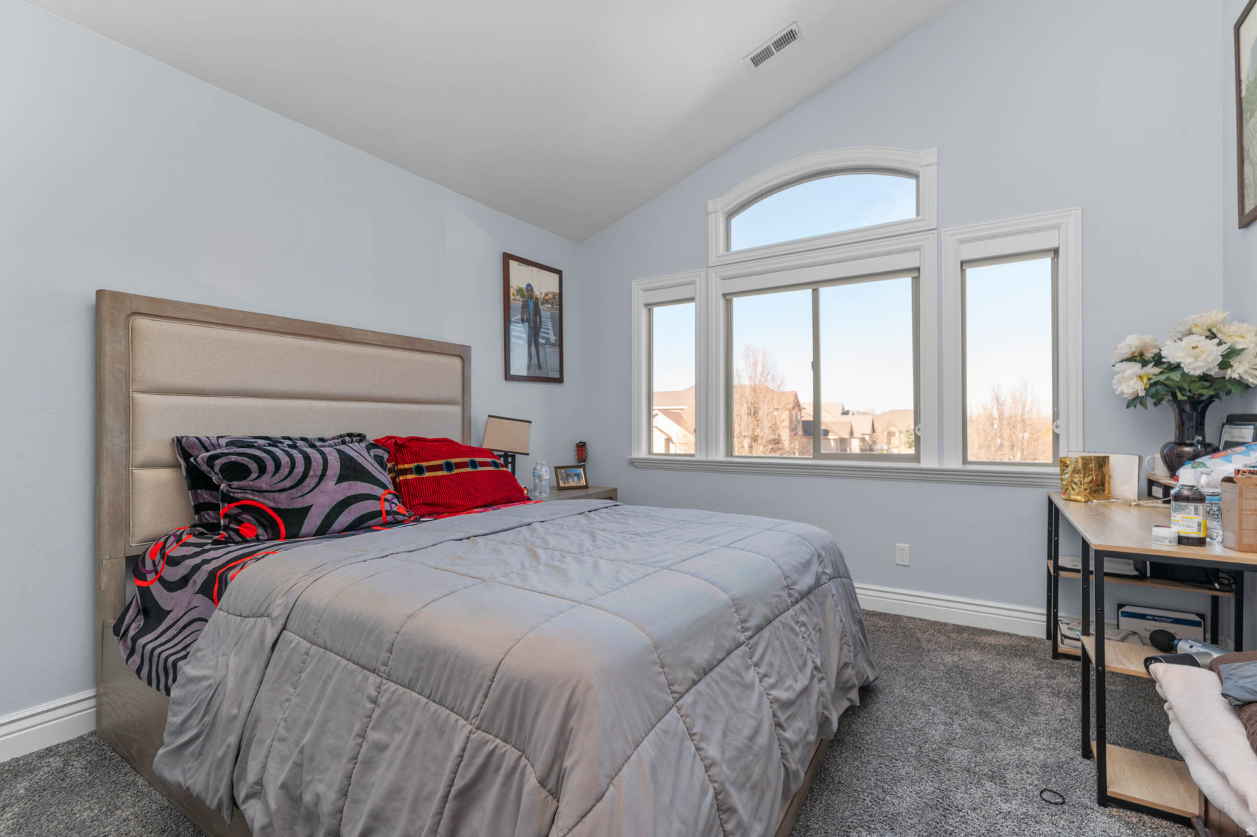 PALAMINO COVE - Residential