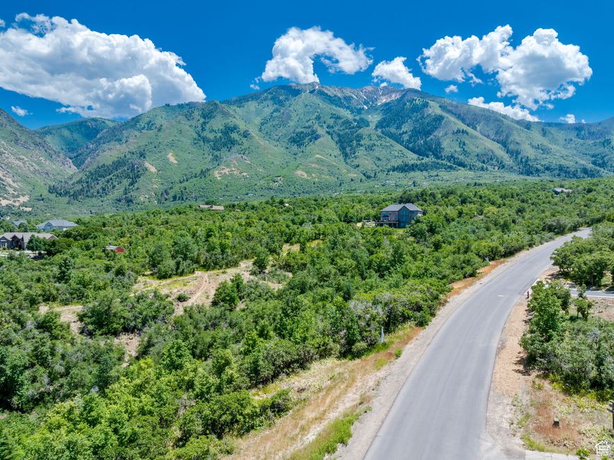 Motivated Seller!  This nearly 3 acre estate lot is perfect for your dream home.  This lot boasts incredible views of the valley, lake and mountains.  Build your home near the road or in the interior of the lot and put in a private drive for access to your private estate.  In prestigious Woodland Hills City.  Power, water, high speed internet, cable tv and natural gas are stubbed at the road.  Seller is motivated and is offering seller financing on a lot only purchase.  Proposed seller financing terms:  $160,000 down, $539,900 financed at 2.9%, monthly payment approximately $2,500, 5 year balloon or pay in full prior to construction beginning.  Lot is zoned rural minimum 2 acre lot size, animals permitted for non-commercial use.