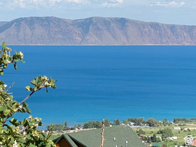 SPECTACULAR BEAR LAKE VIEW on two great buildable lots, 470 & 471 secluded in the cul-de-sac with mature trees, natural vegetation and wildlife galore! Backs up to Common Area. Privacy near top of Bear Lake West. Year-round access & utilities to lot. Bear Lake West Amenities include outdoor pool, hot tub, tennis/pickleball courts, beach access, plus Restaurant and Bear Lake West Golf Course within minutes. Close access to Fish Haven Canyon Trailhead for ATV and Snowmobiling. Bear Lake Marina in Garden City, or North Beach Marina and best sandy beach 10 minutes. Beaver Mountain Ski 30 minutes. No Short-term rentals.