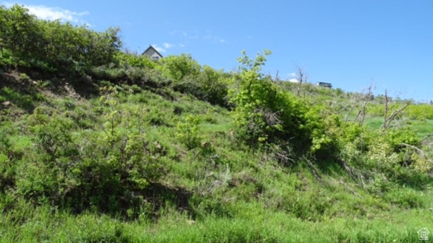 Seclusion on this wonderful 1.1-acre lot! Build your dream home on this unique property with aspens and scrub oak in the beautiful gated mountain community of Timber Lakes. Perc test and survey already completed. Experience abundant wildlife, fishing, boating, world-class skiing & golf, epic snowmobiling, hunting, ATV-Ing, all at your fingertips! Enjoy all the wonderful amenities of the Heber Valley & Park City just minutes away! Seller may consider seller financing for a short terms call for more info