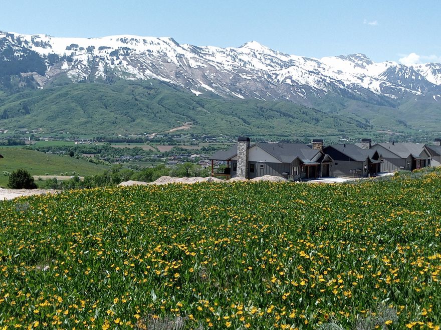 WATER/SEWER CONNECTION AND STANDBY FEES ARE PAID 48K VALUE! There are VERY FEW HOMESITES AVAILABLE IN THE OGDEN VALLEY Zoned for Short-Term Rentals (STR) and this one is a hidden gem. Not only does this uphill lot have views of Snowbasin Resort and Nordic Valley Resort. This homesite is next open space to the North and West that creates privacy and will not be built on allowing forever views. The Bridges development is the latest addition to Wolf Creek Resort's collection of upscale Ogden Valley real estate. Buyers can use builder of preference or use Lewis Homes. For a minimal fee the HOA takes care of all landscaping. Located at the entrance to Wolf Creek canyon and the Powder Mountain corridor, the community will be the most extensive real estate development of its kind in the Wolf Creek Resort area. A home in the Bridges would make an excellent full-time residence or a second home/rental investment property. Several neighborhoods comprise The Bridges, and at its heart is the Homestead Club, is a place for gathering and recreation. This amenity will house a fitness center, a barn, a clubhouse, and an events venue, among many others. Once finished, these homes will make The Bridges one of the most sought-after places to live and stay in the Ogden Valley. WILL SERVE LETTER IN HAND FOR WATER AND SEWER.