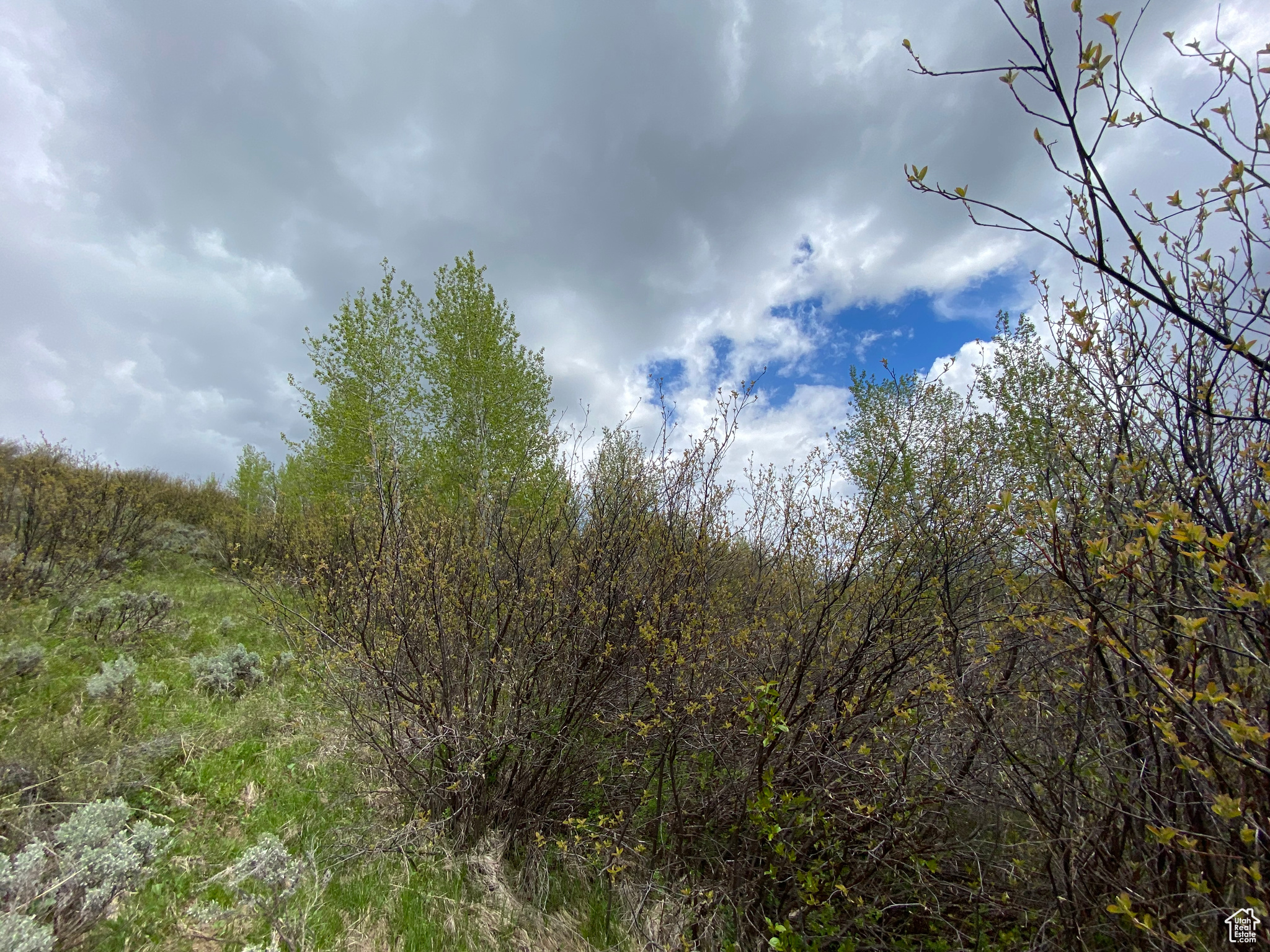 GROUSE CREEK RANCH - Land