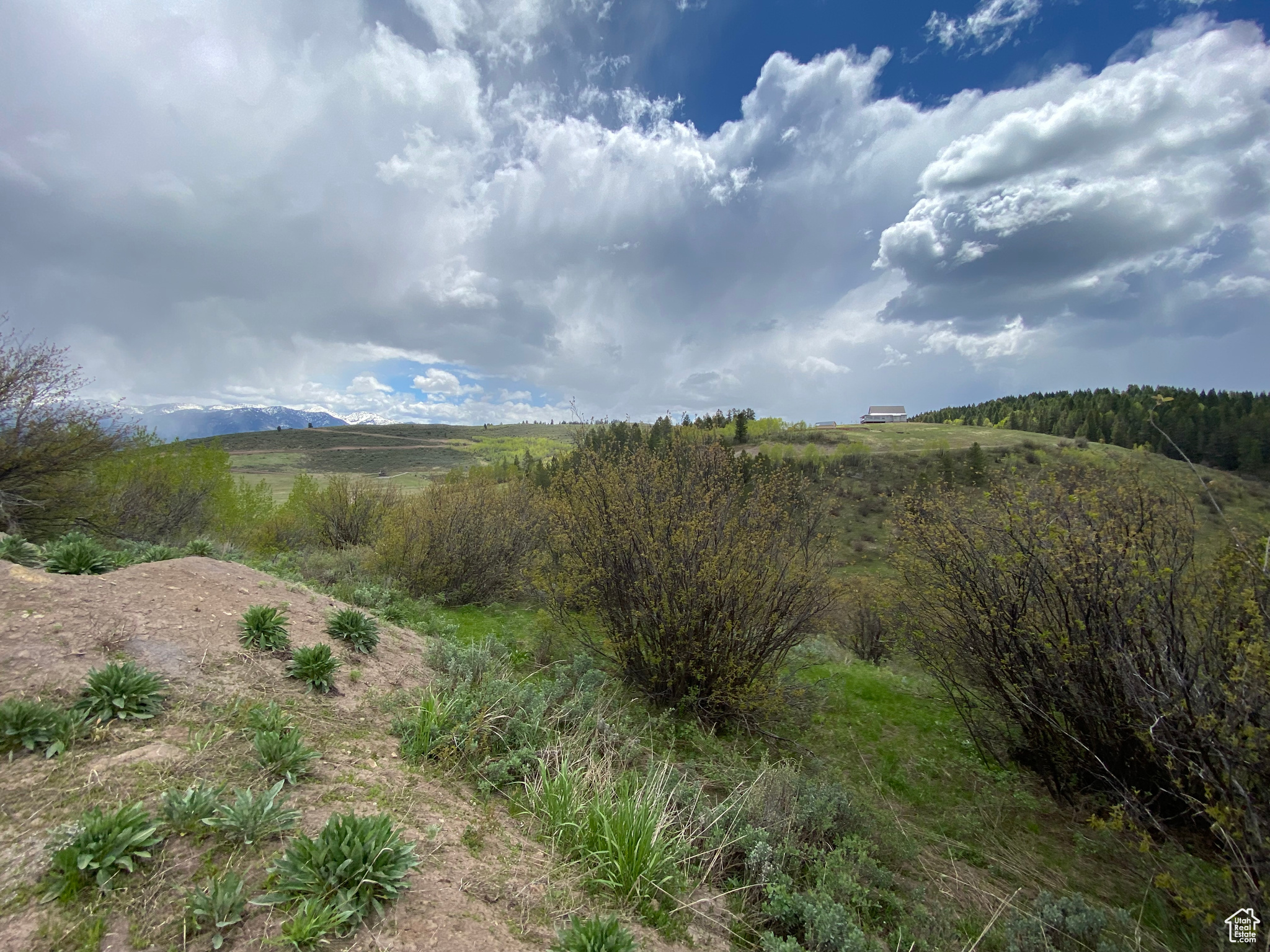 GROUSE CREEK RANCH - Land