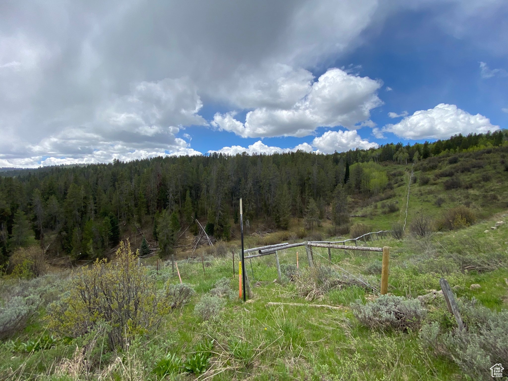 GROUSE CREEK RANCH - Land