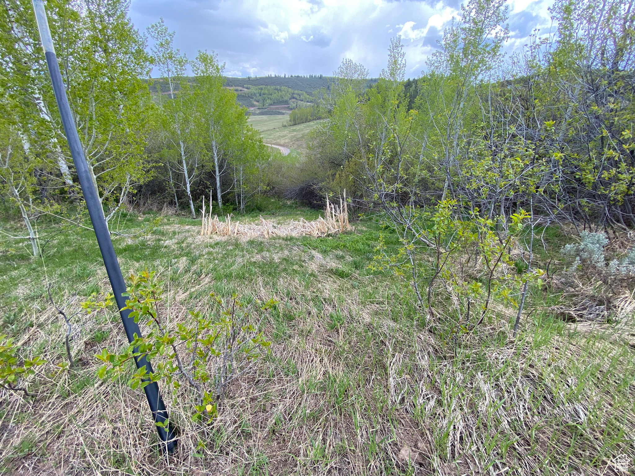 GROUSE CREEK RANCH - Land