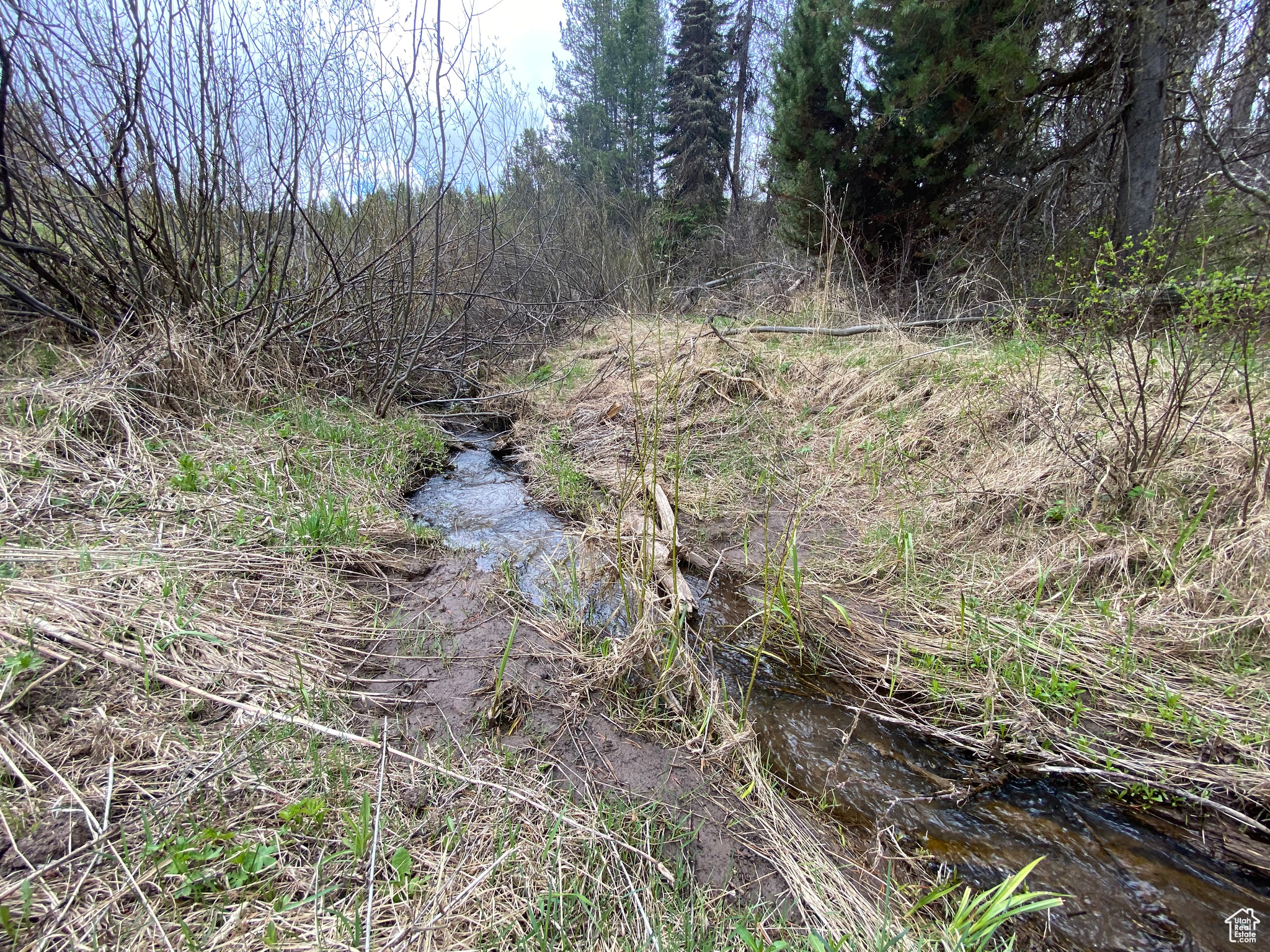 GROUSE CREEK RANCH - Land