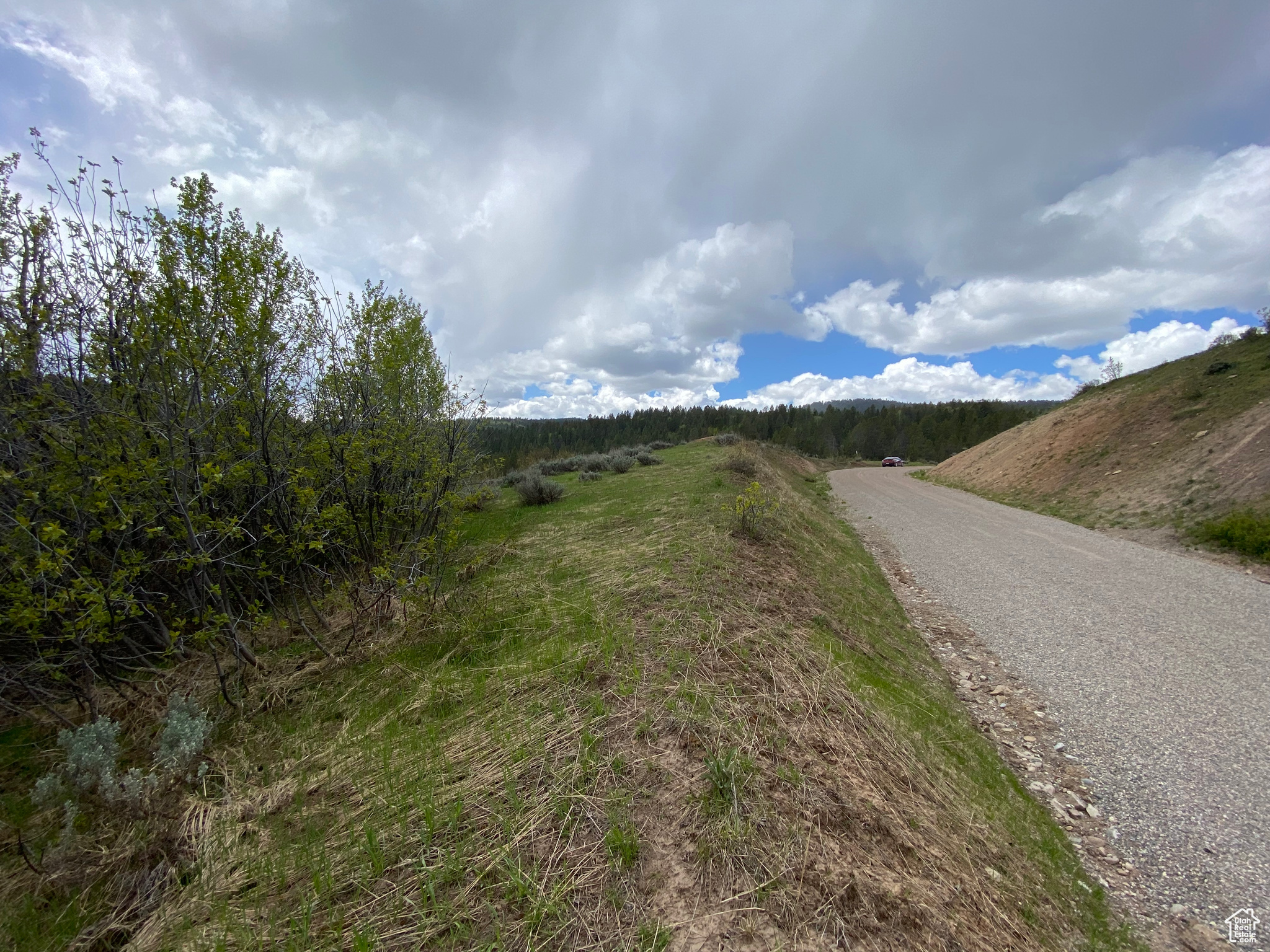 GROUSE CREEK RANCH - Land