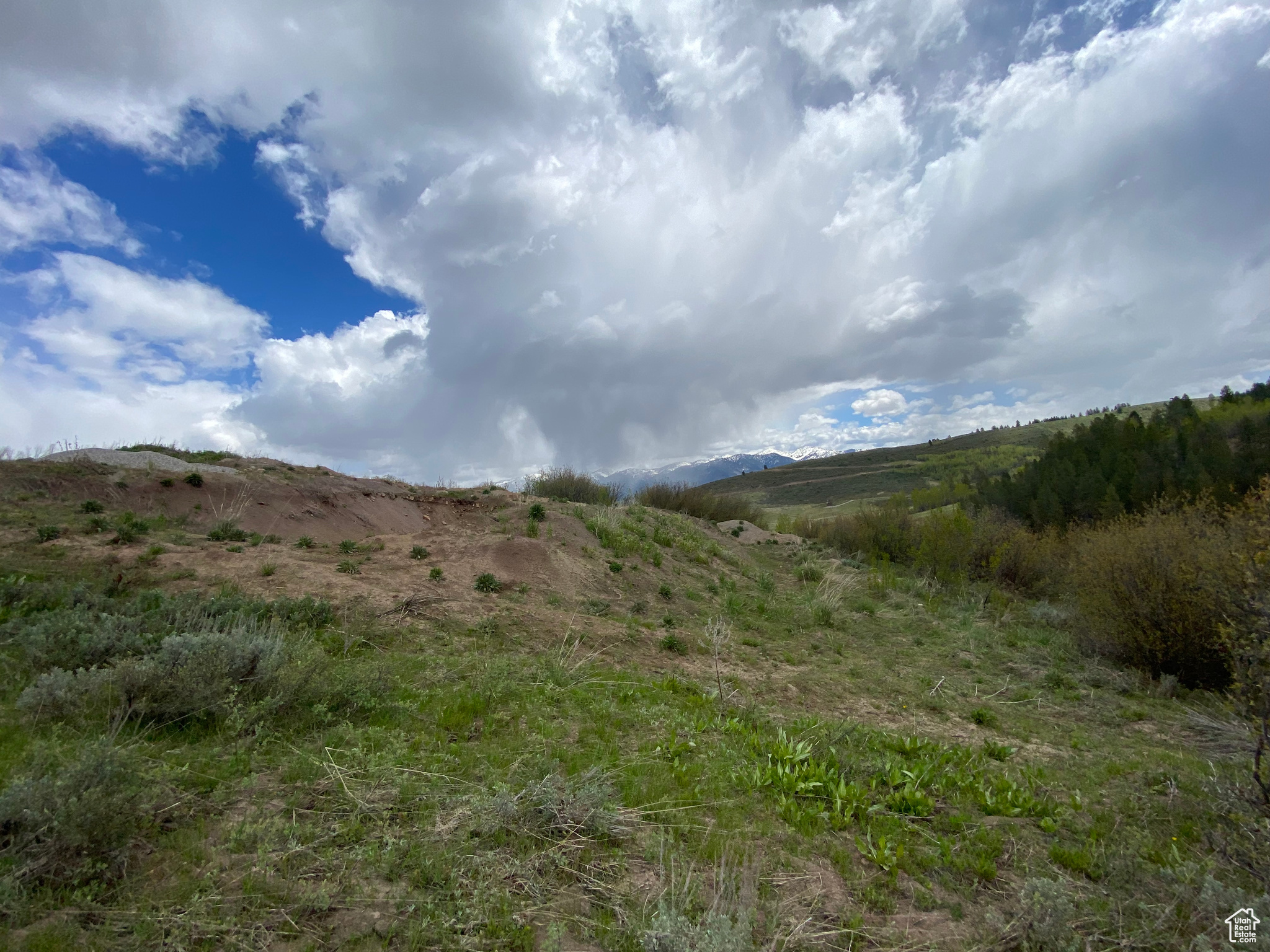 GROUSE CREEK RANCH - Land