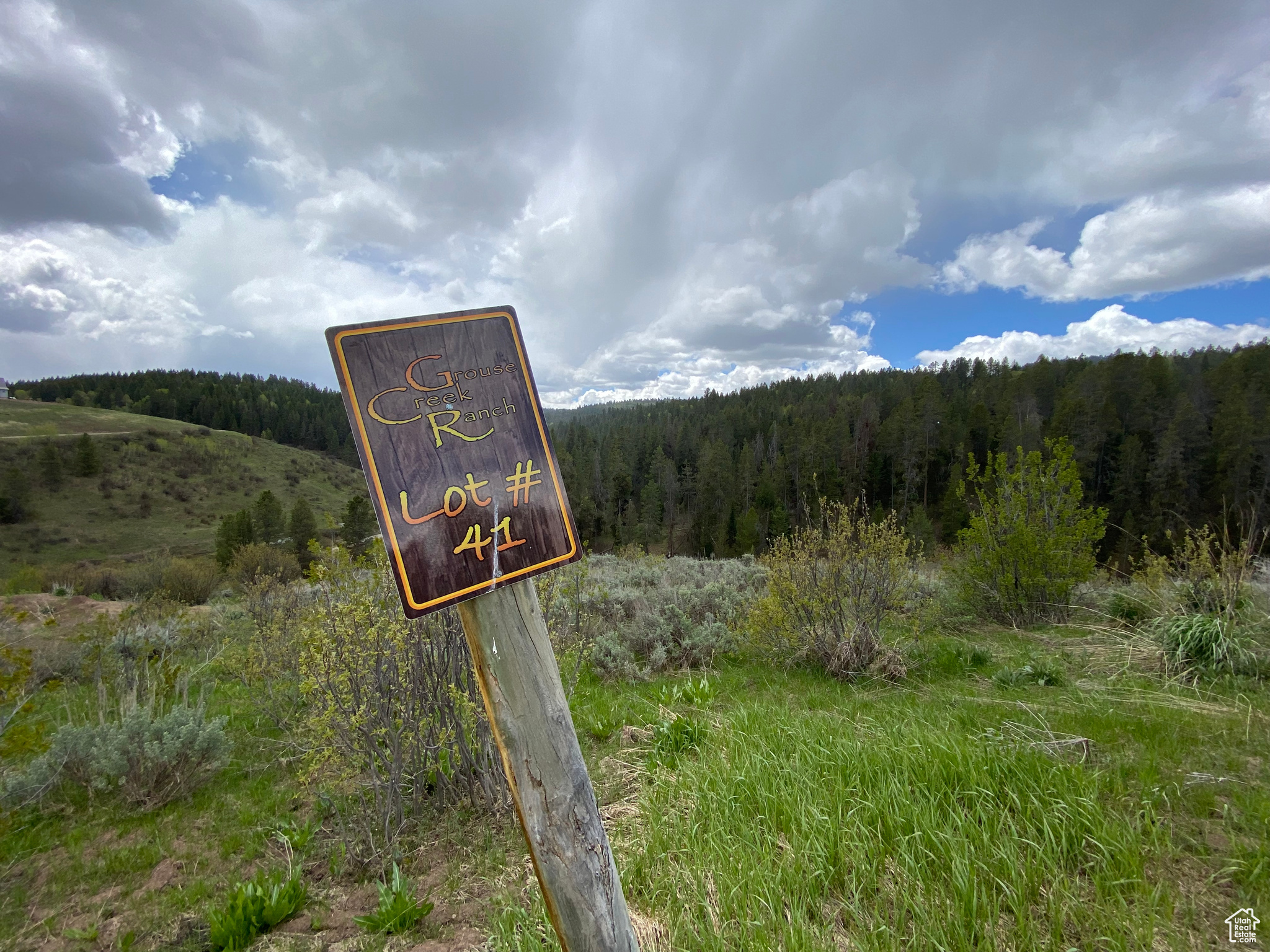 GROUSE CREEK RANCH - Land