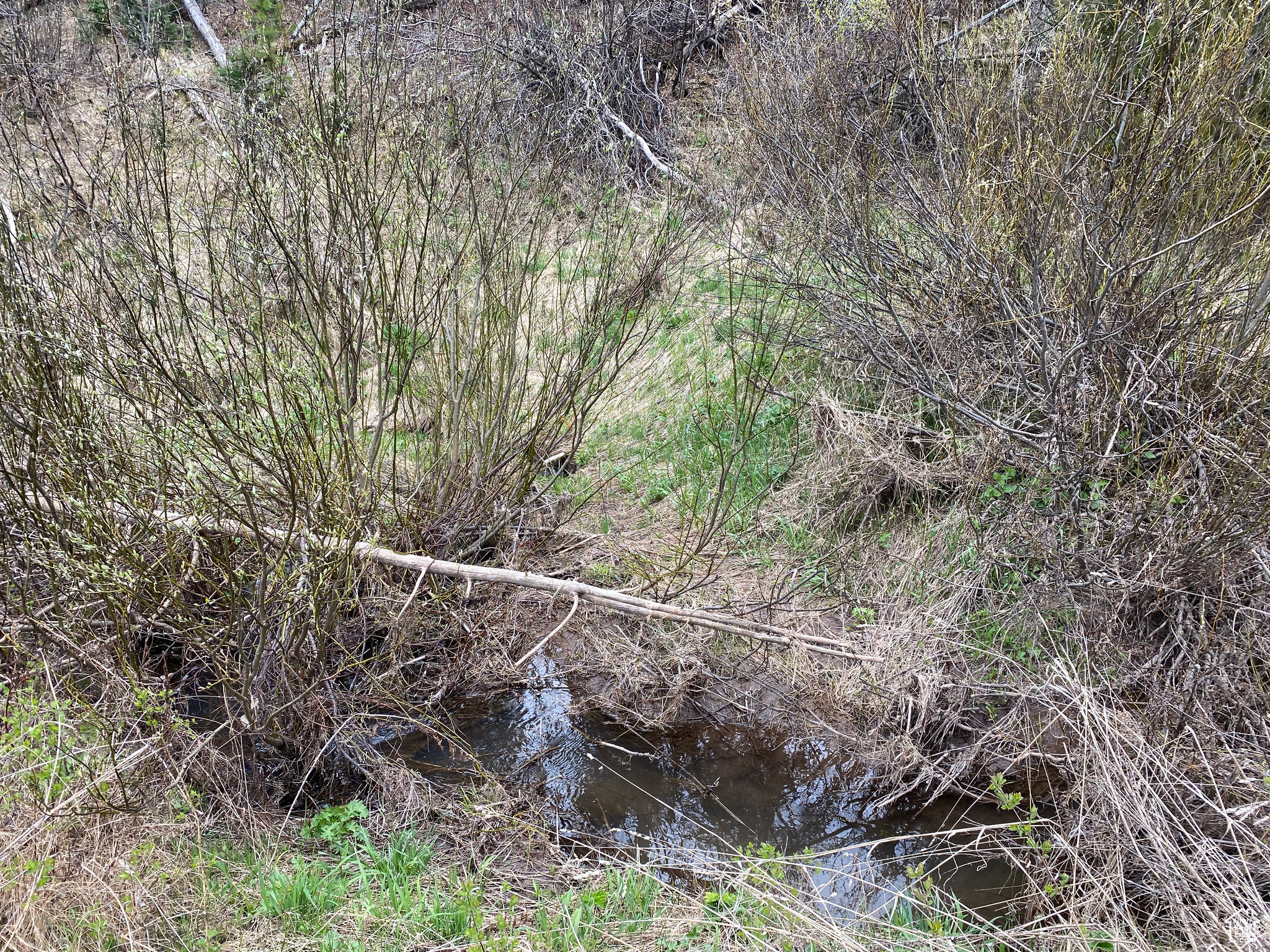 GROUSE CREEK RANCH - Land