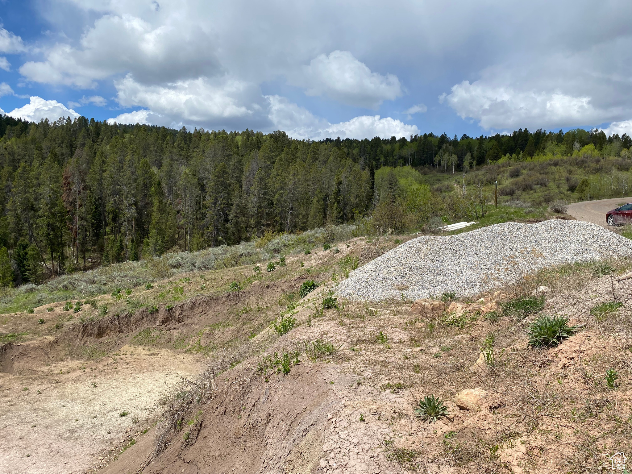 GROUSE CREEK RANCH - Land