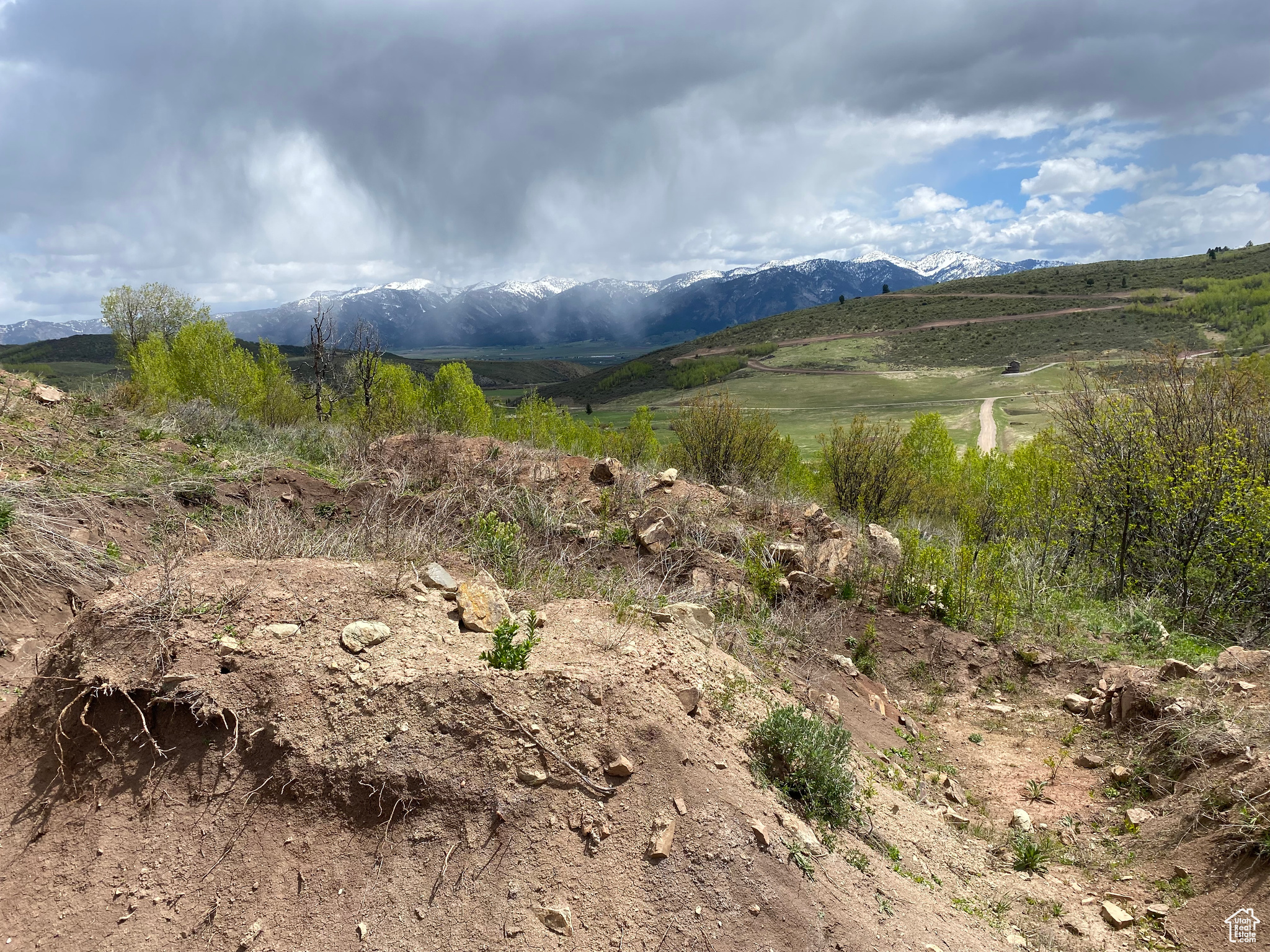 GROUSE CREEK RANCH - Land