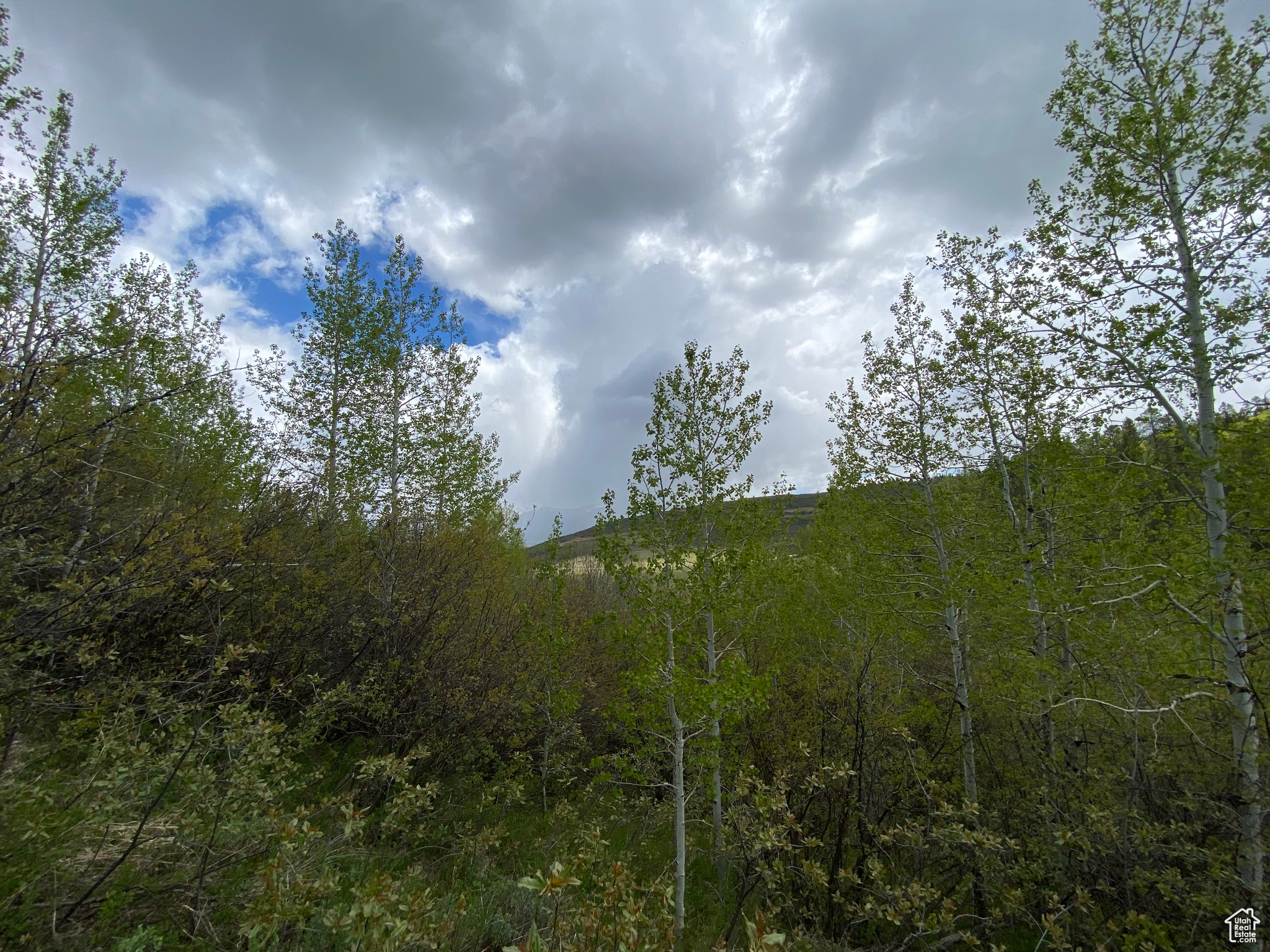 GROUSE CREEK RANCH - Land