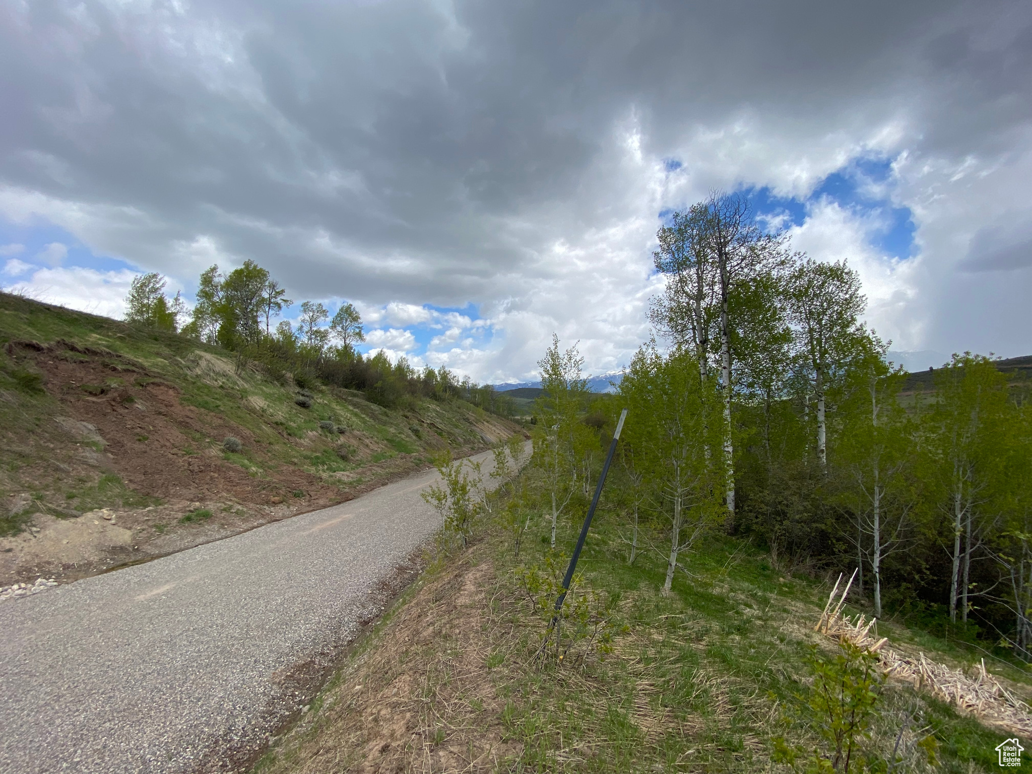 GROUSE CREEK RANCH - Land