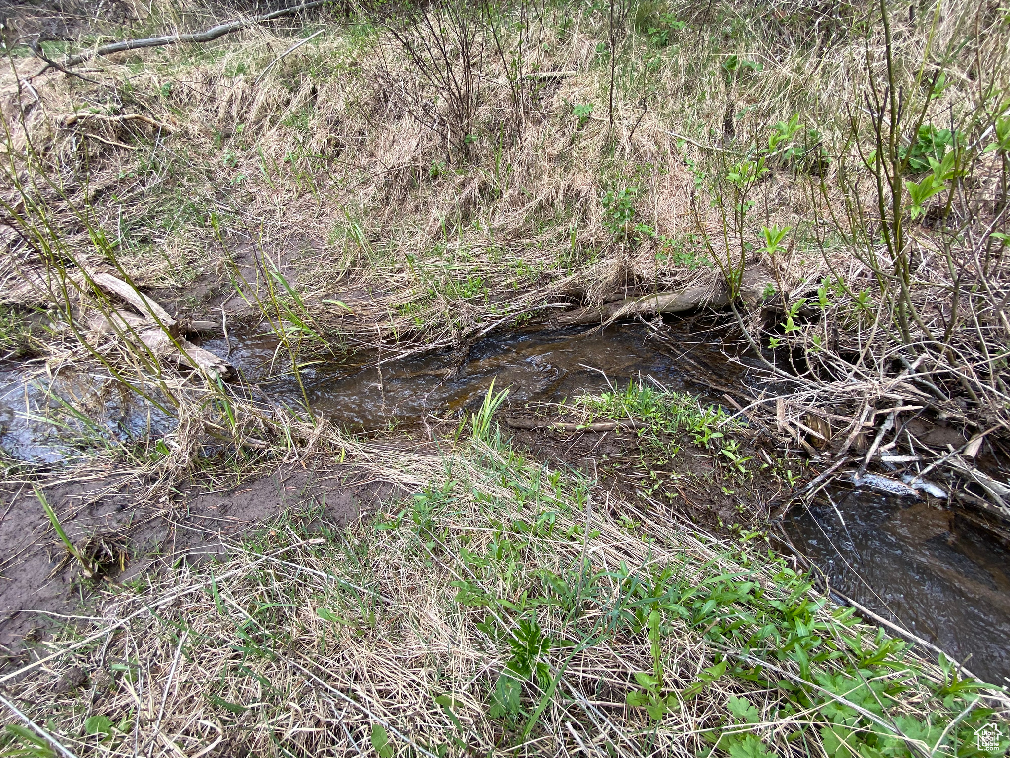 GROUSE CREEK RANCH - Land