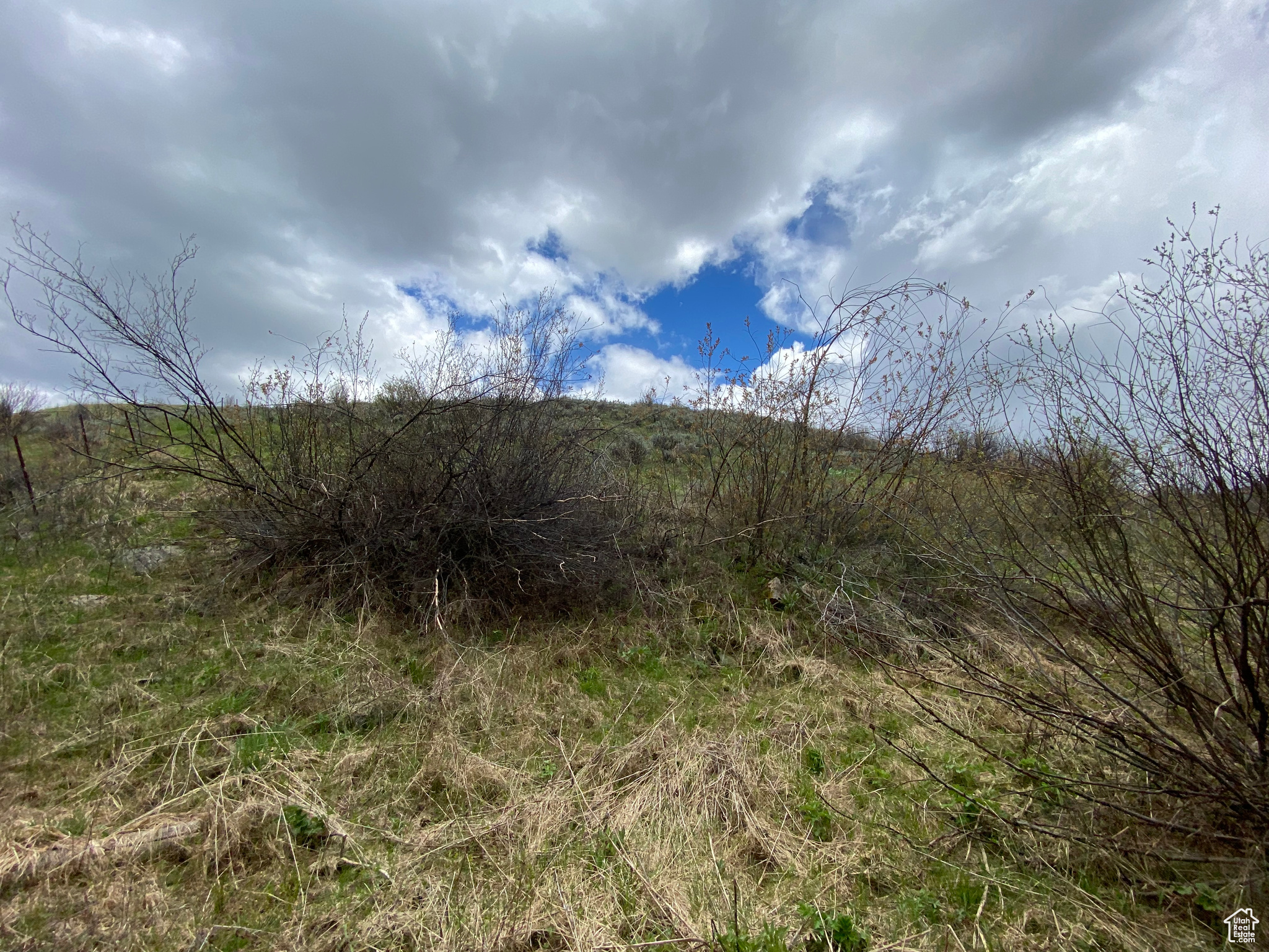 GROUSE CREEK RANCH - Land