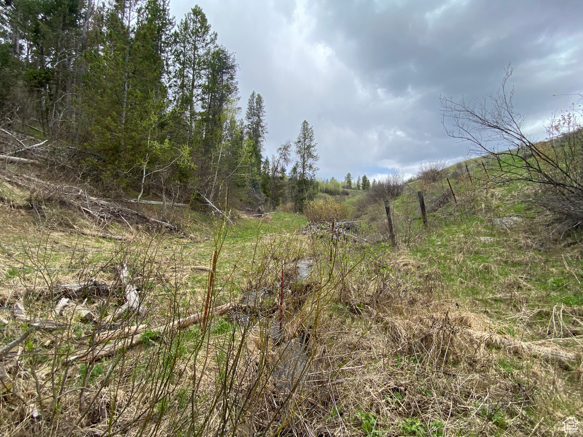 GROUSE CREEK RANCH - Land