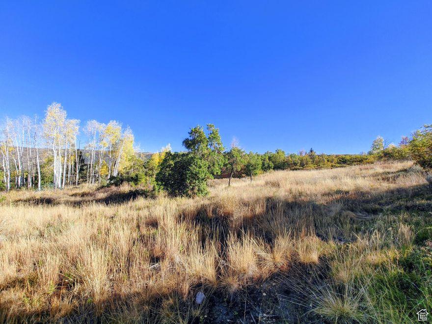 Large mostly flat lot bordering an additional 6 acres of common area for extra space. Located only 100 yards from the main paved road for great full-time access and a quick drive to Heber. This property offers big views, mature trees, and is all useable with very little excavation required to build, a rare combination to come by in Timber Lakes. Survey and Septic Design completed for up to a 4-bedroom home.