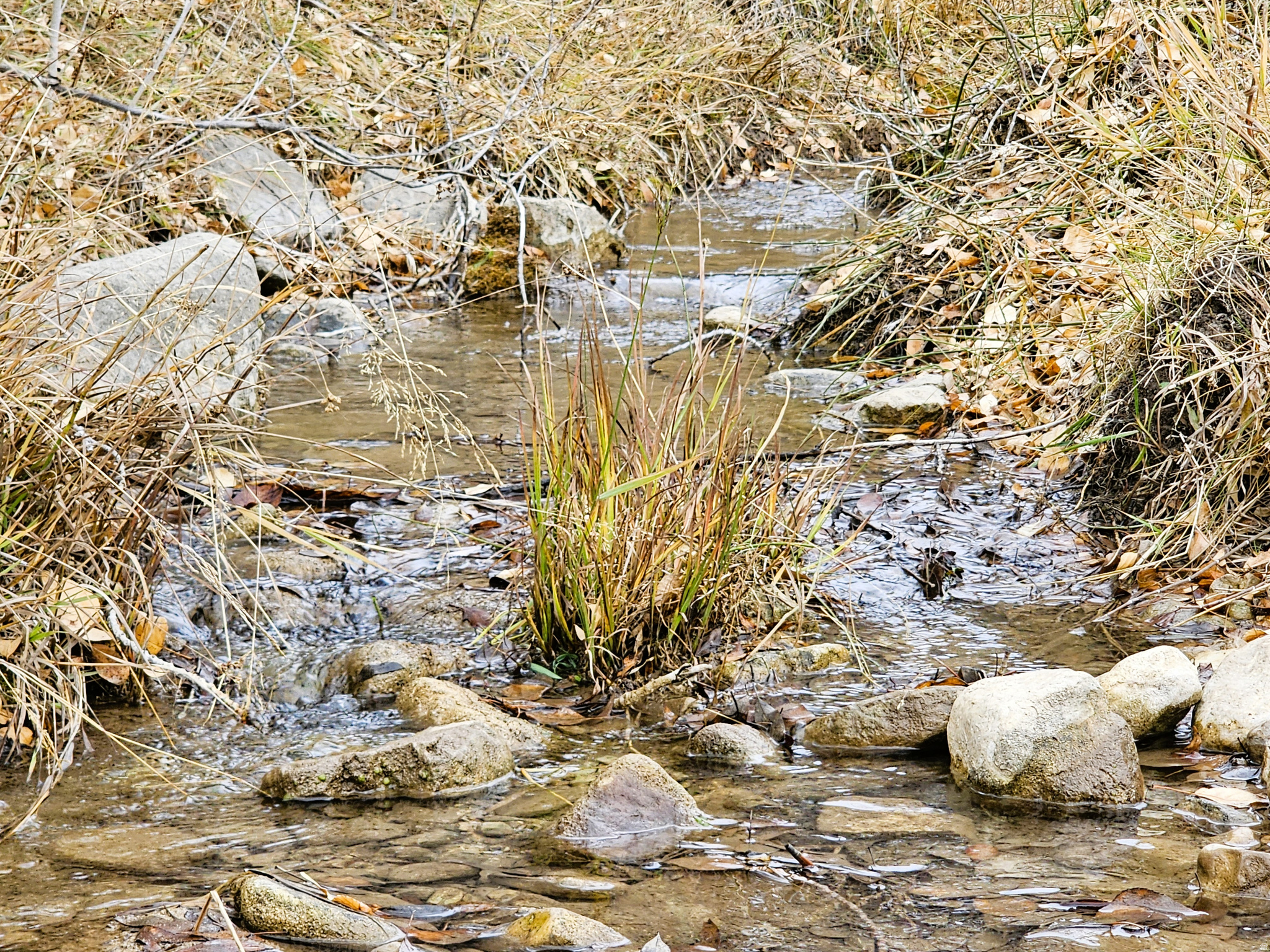 SKYLINE MOUNTAIN RES - Land