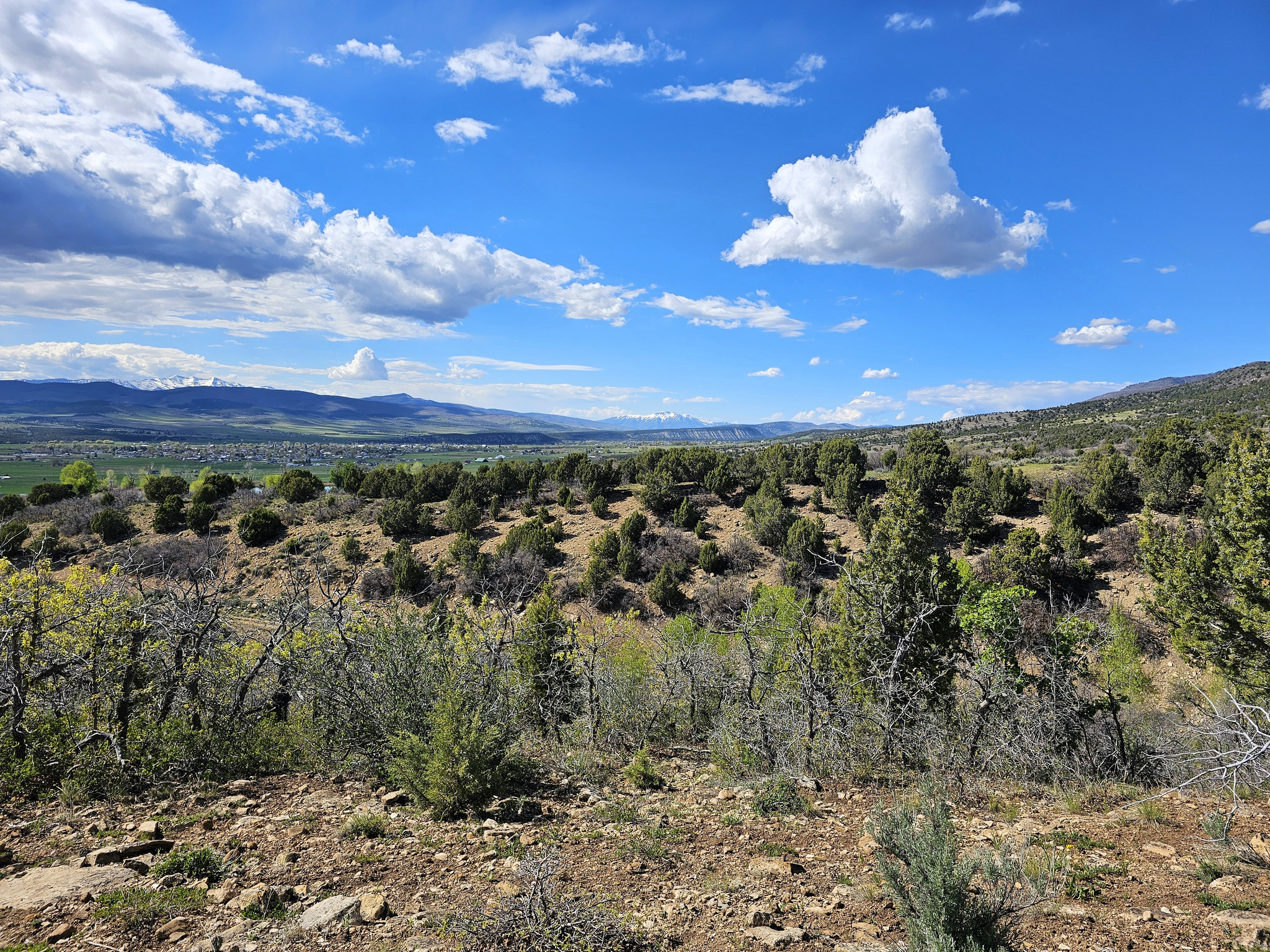 SKYLINE MOUNTAIN RES - Land