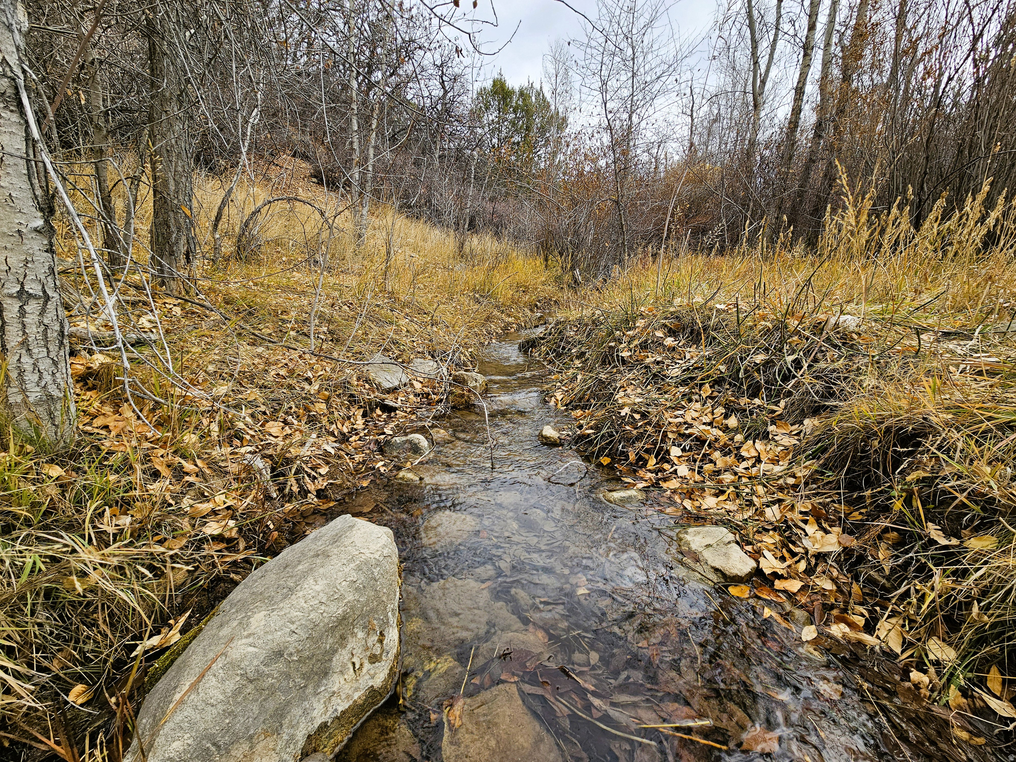 SKYLINE MOUNTAIN RES - Land
