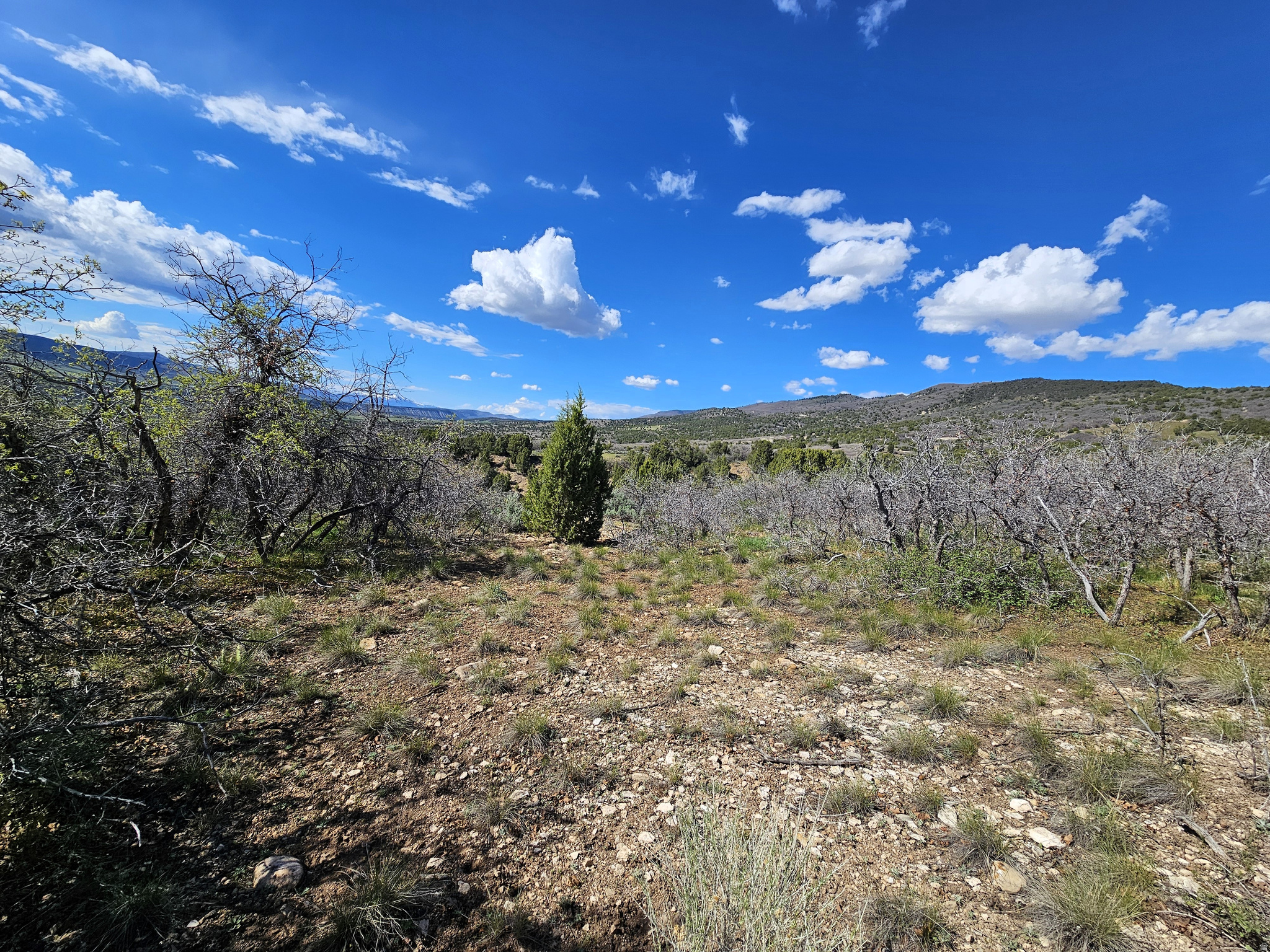 SKYLINE MOUNTAIN RES - Land